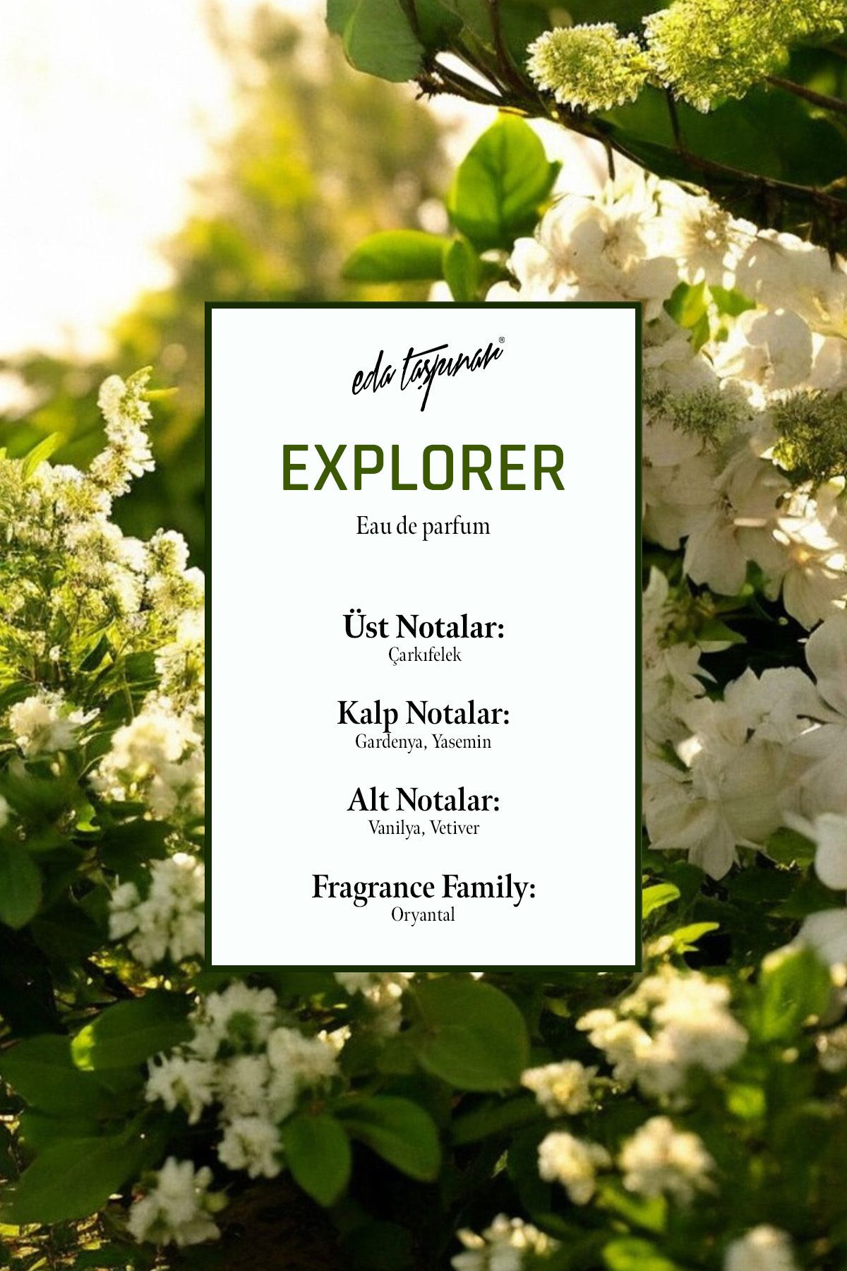 عطر مردانه و زنانه ادوپرفیوم EXPLORER PARFUM 100 میل EGY0047 Eda Taşpınar