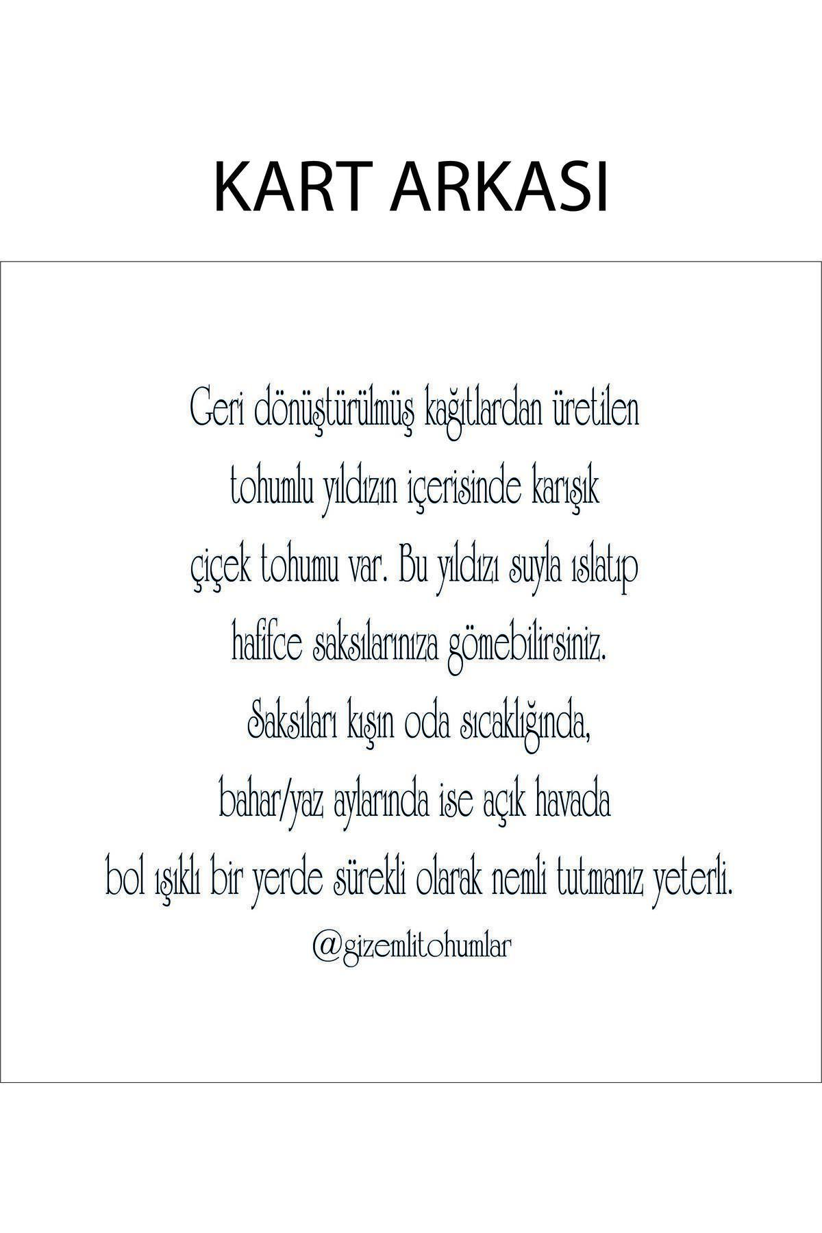 gizemli tohumlar 50 Adet Gold Tohumlu Kart Doğum Günü ,baby Shower,hediyelik fotoğrafı 2 (önizleme)