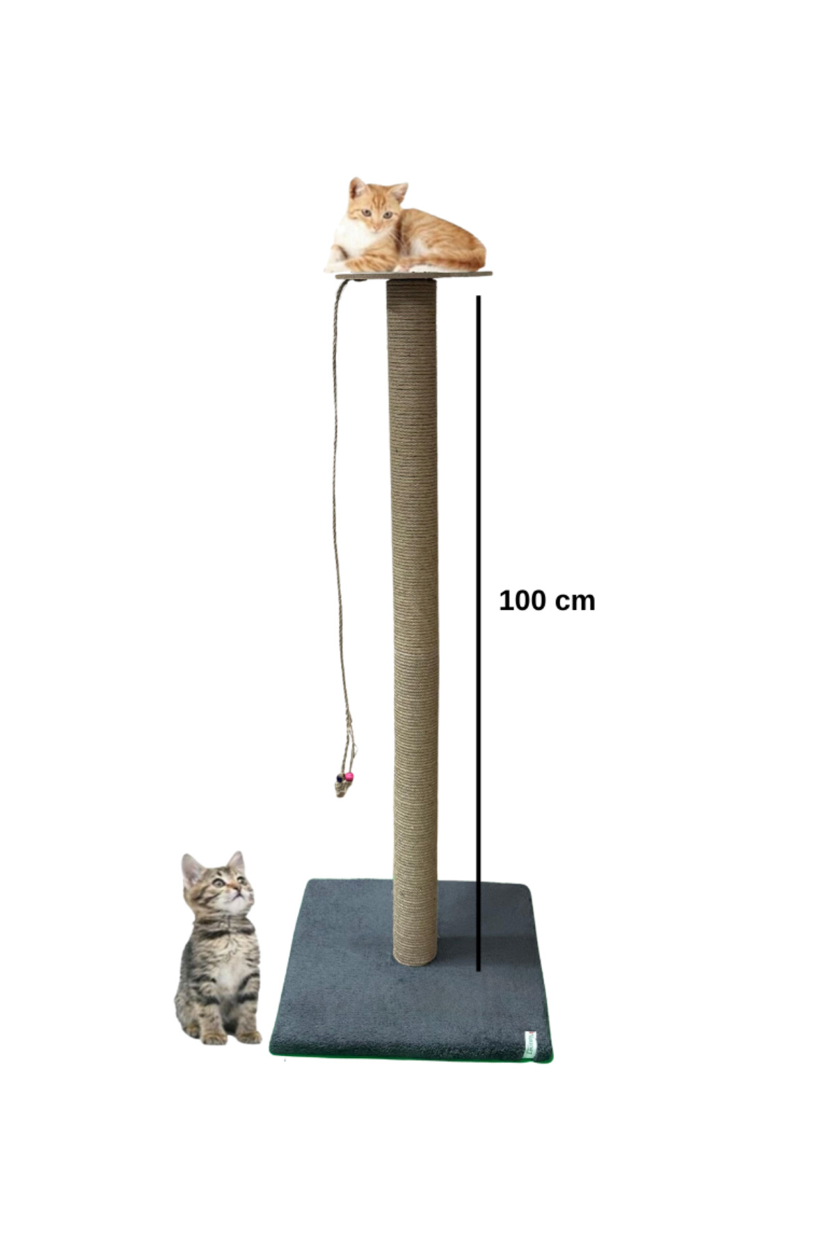 Nursoft B y k Kedi T rmalama Tahtas 100 Cm Fiyat Yorumlar 
