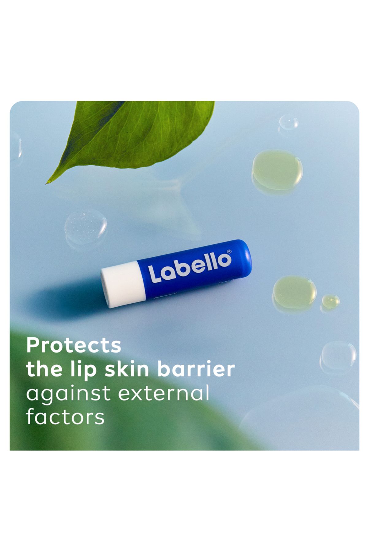 LABELLO-Lip Care, Moisturizing Lip Balm, Original with Shea Butter, 4.8g, Pack of 2 3
