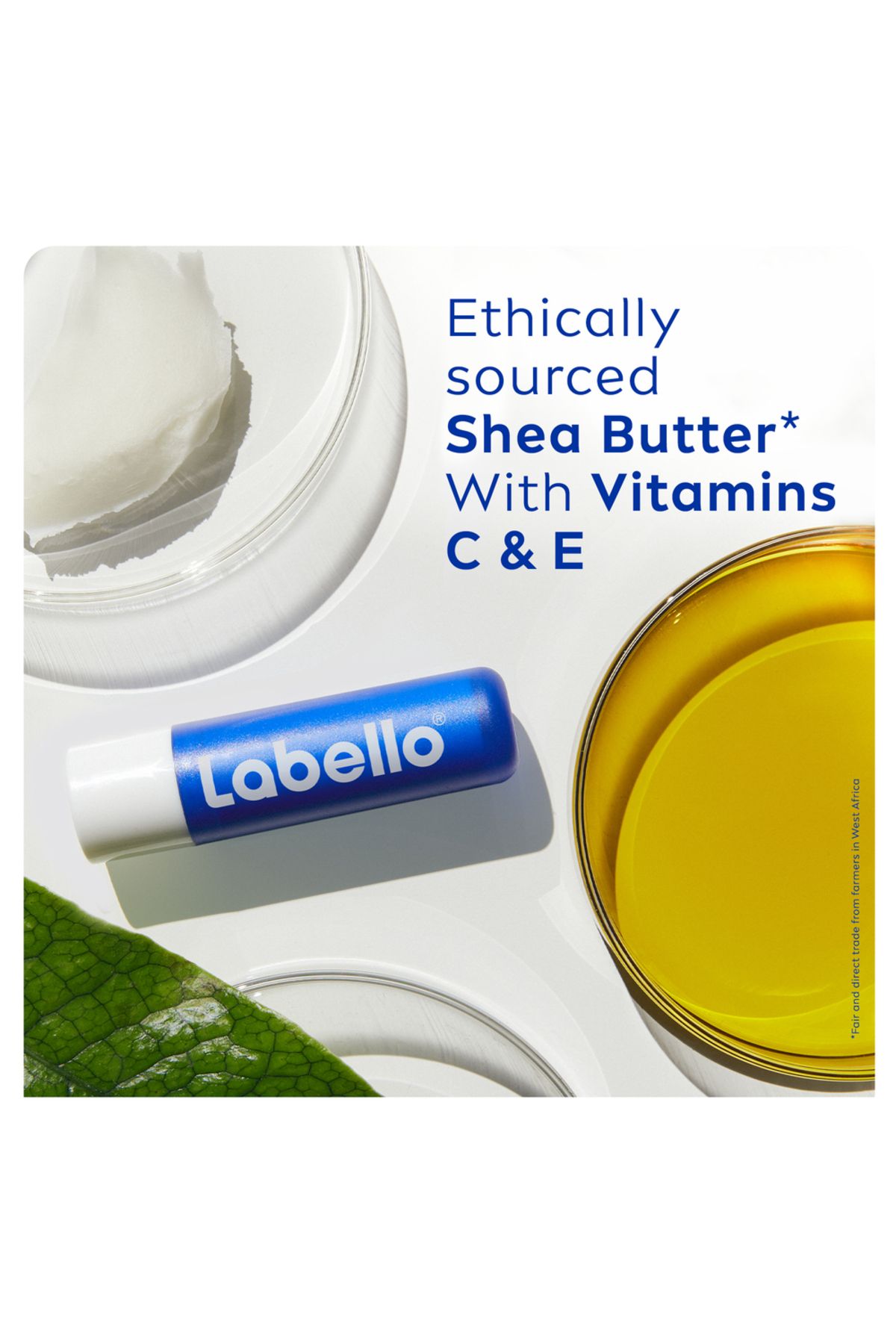 LABELLO-Lip Care, Moisturizing Lip Balm, Original with Shea Butter, 4.8g, Pack of 2 4