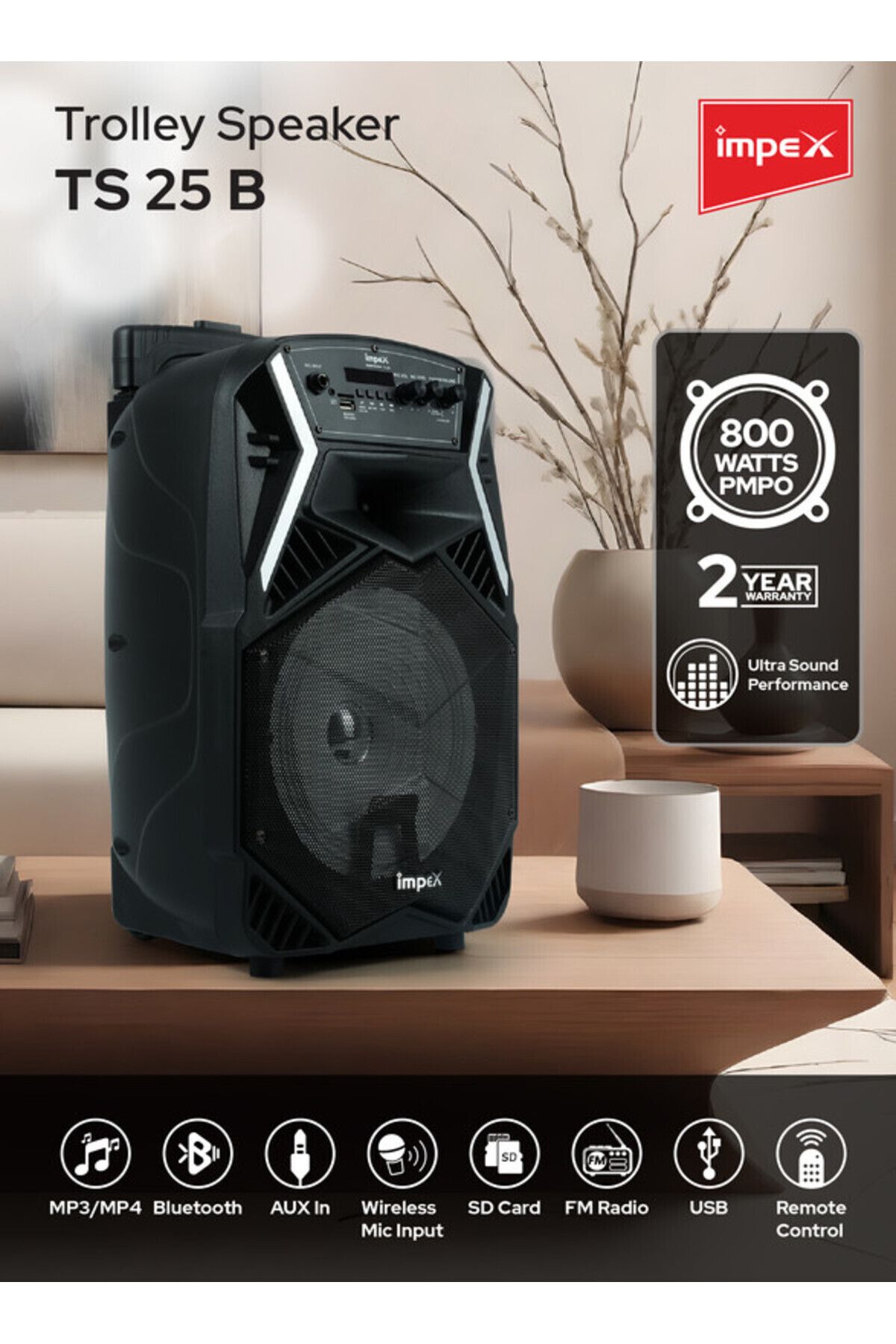 İMPEX-Multimedia Portable Trolley Speaker - Ts25b, Usb/aux/bluetooth/wireless Mic & Dj Led Lightfunction 2