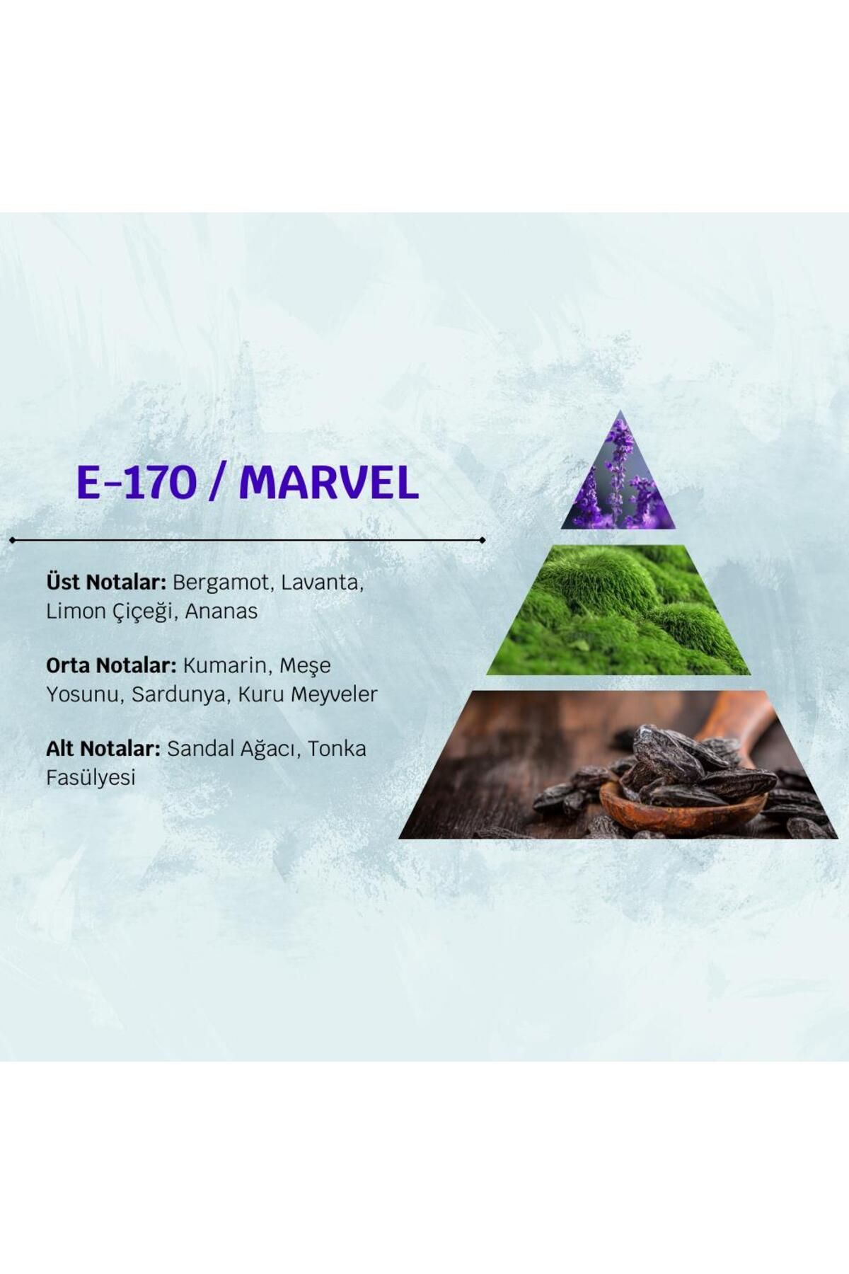 عطر مردانه Marvel E17 100ml میوه و ادویه David Walker