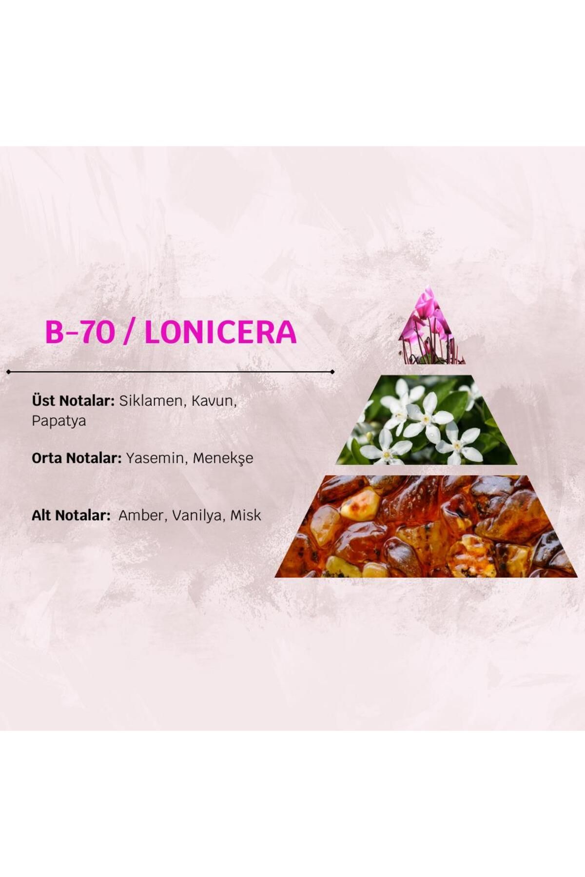 David Walker عطر زنانه میوه و گل 100 میلی لیتری Lonicera B70