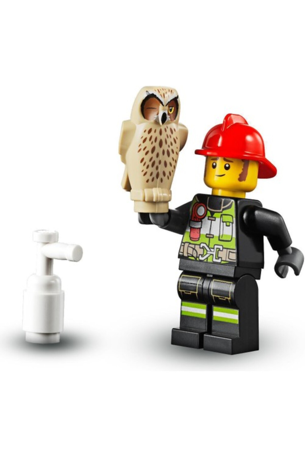 حریق جنگل شهری ۶۰۲۴۷