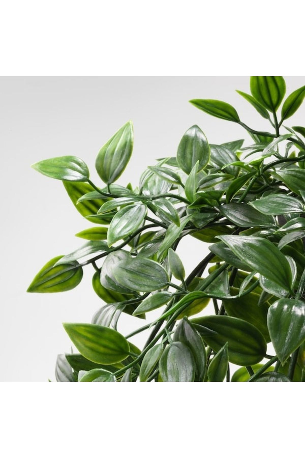 IKEA-FEJKA Artificial Potted Plant – Lifelike Hanging Ivy for Indoor & Outdoor Use (12 cm) 6