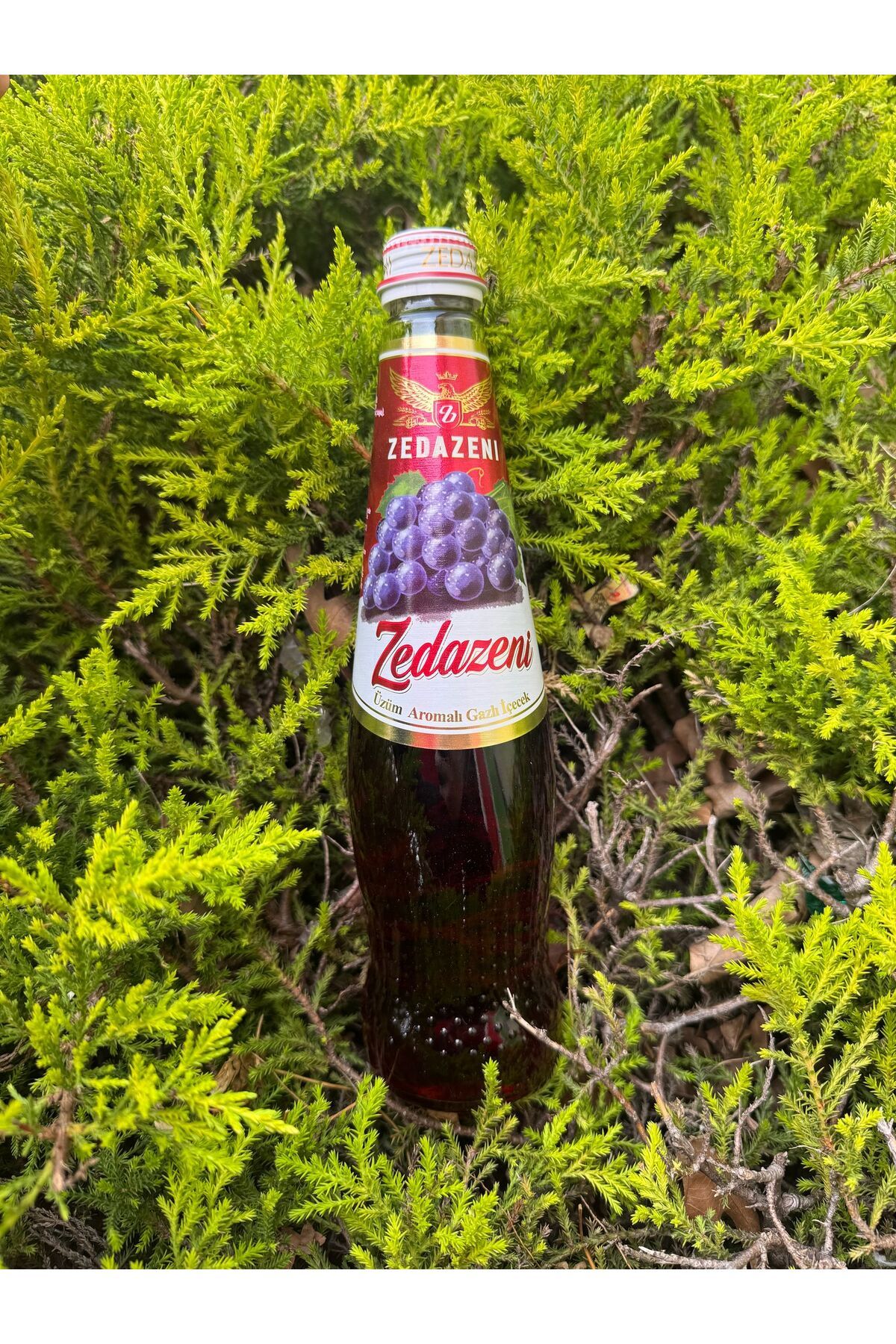 ZEDAZENİ ZEDAZENİ Üzüm Aromalı Gürcistan Limonatası 1 Adet