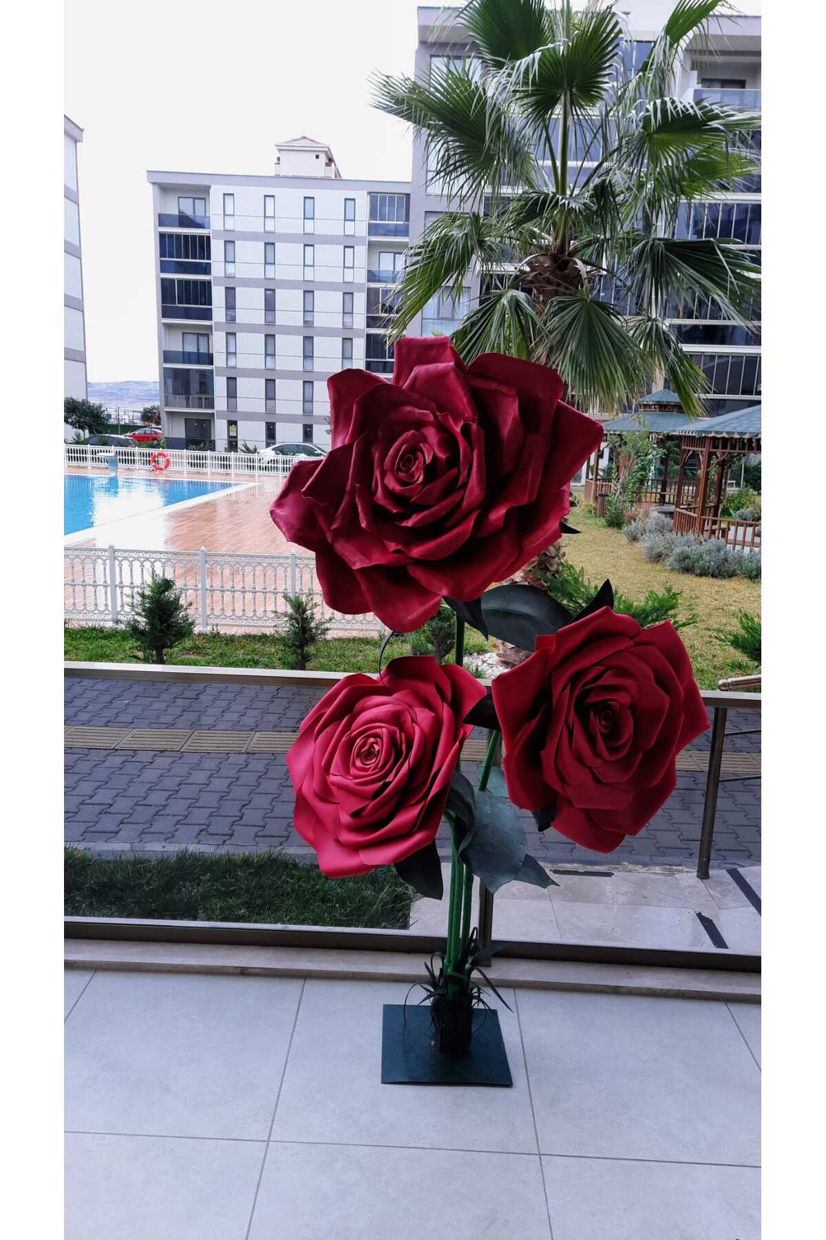 Pretty Eva dev gül - Fiyatı, Yorumları