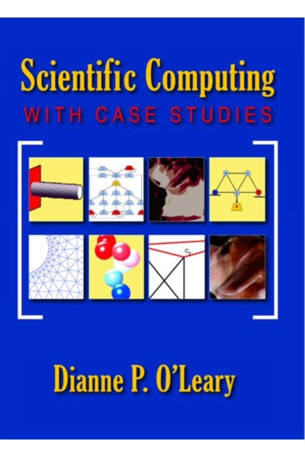 Pandora Kitabevi Scientific Computing : with Case Studies