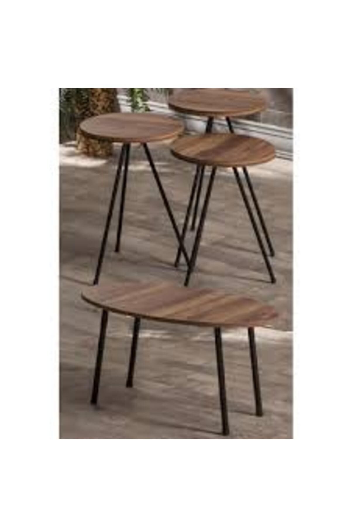 pazarella Zigon Sehpa Ve Orta Sehpa Set Metal Elips Ceviz
