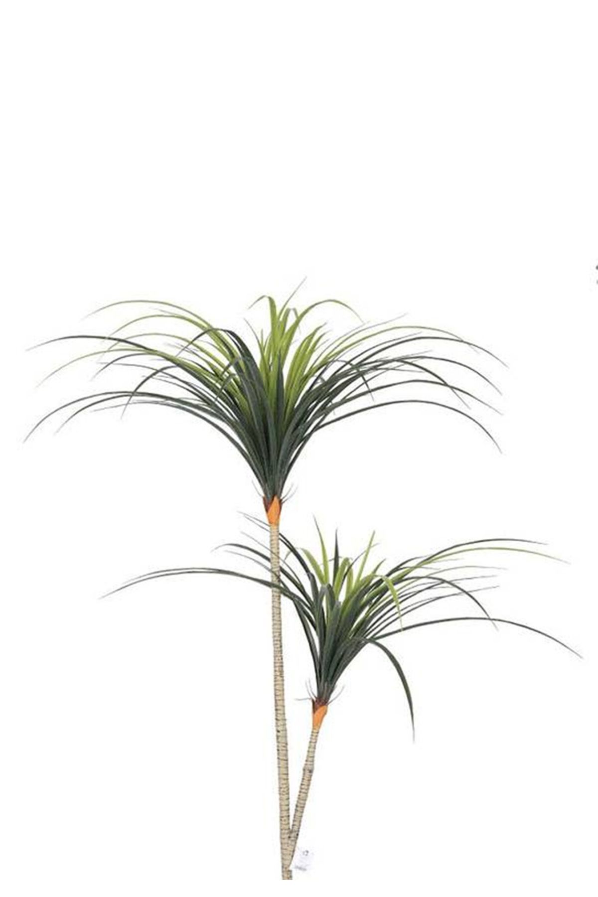 Generic-Artificial Yucca Cactus Tree (2 Branches) with Cylinder Plastic Pot 2