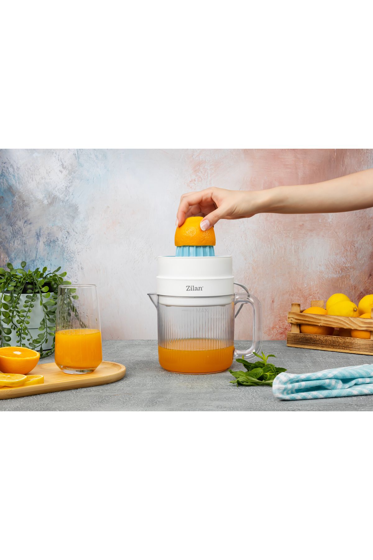 Zilan-Zilan ZLN1146 citrus juicer, AC motor, 30W, 2-way rotation, 80dB noise 7