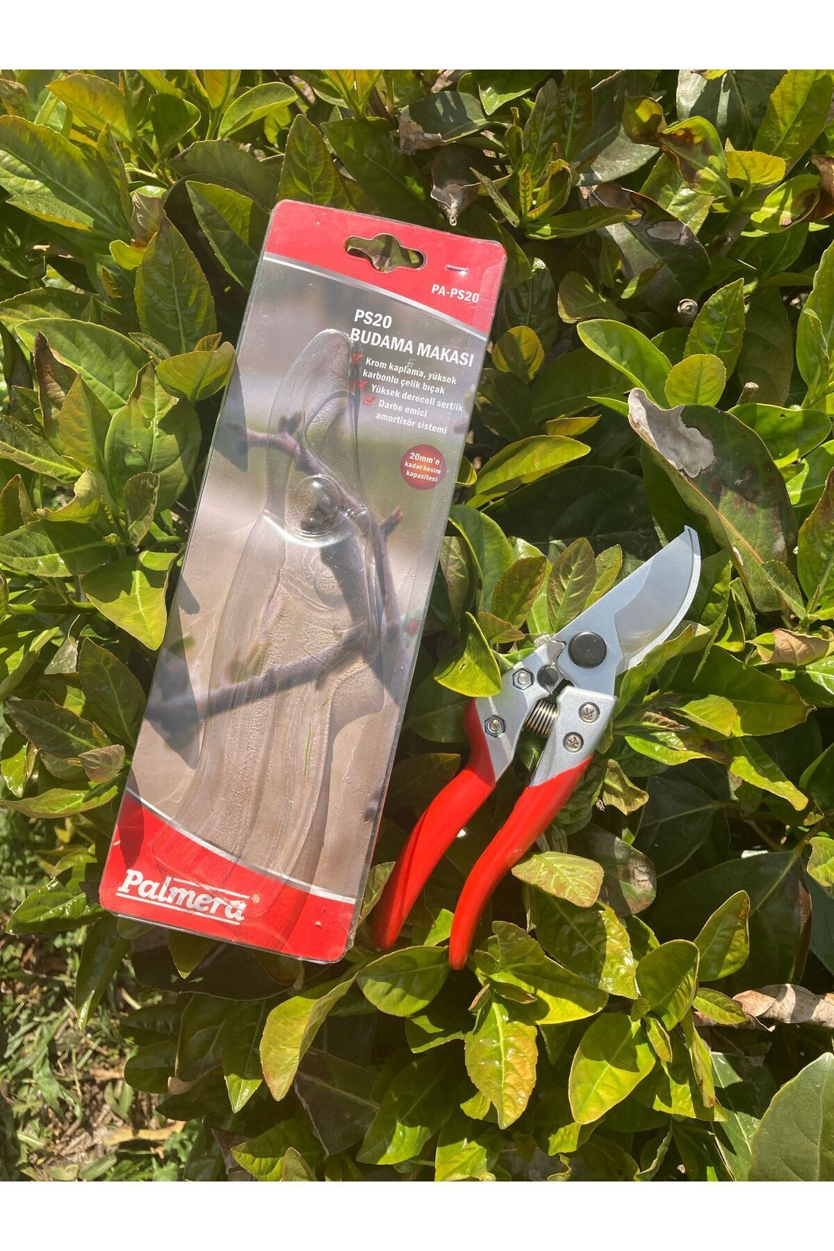 Palmera-Pa-Ps20 Pruning Scissors 5
