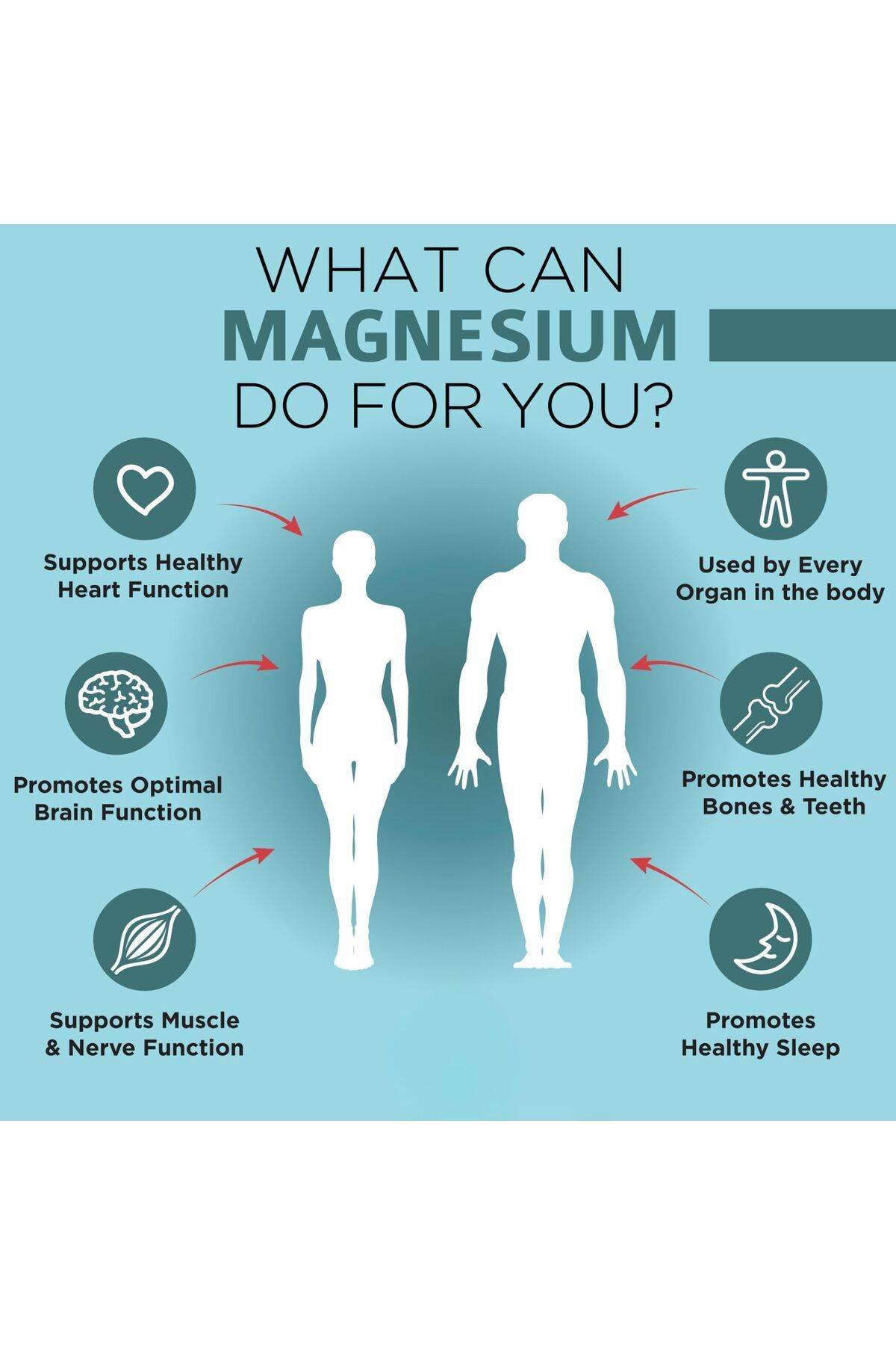 Jarrow Formulas-Magnesium Optimizer - Malate, Taurine, Potassium, Citrate and Vitamin B6 4