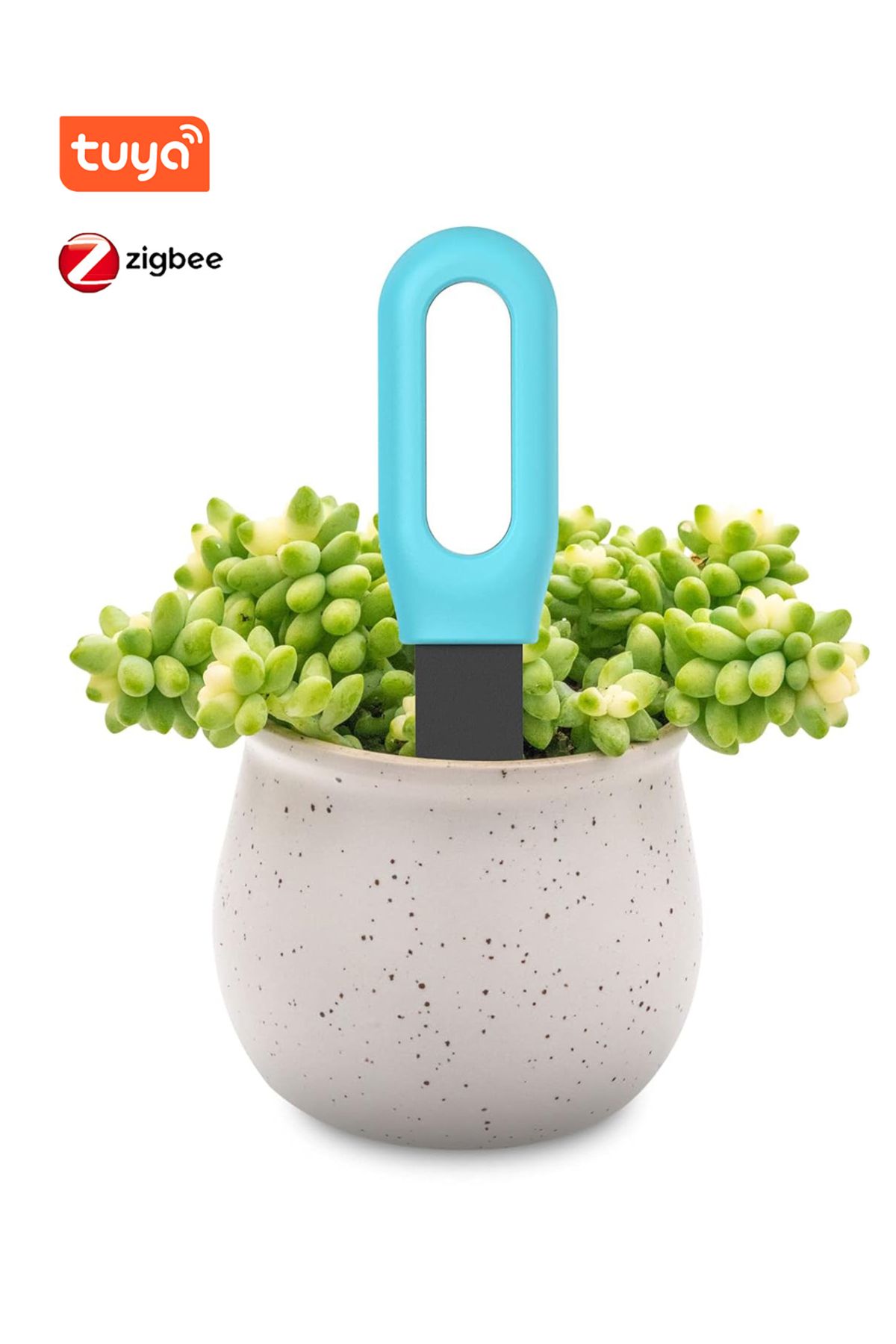 Choice-Bluetooth Version Zigbee/bt Smart Soil Tester Bluetooth Humidity Temperature Moisture Sensor Mobile 8
