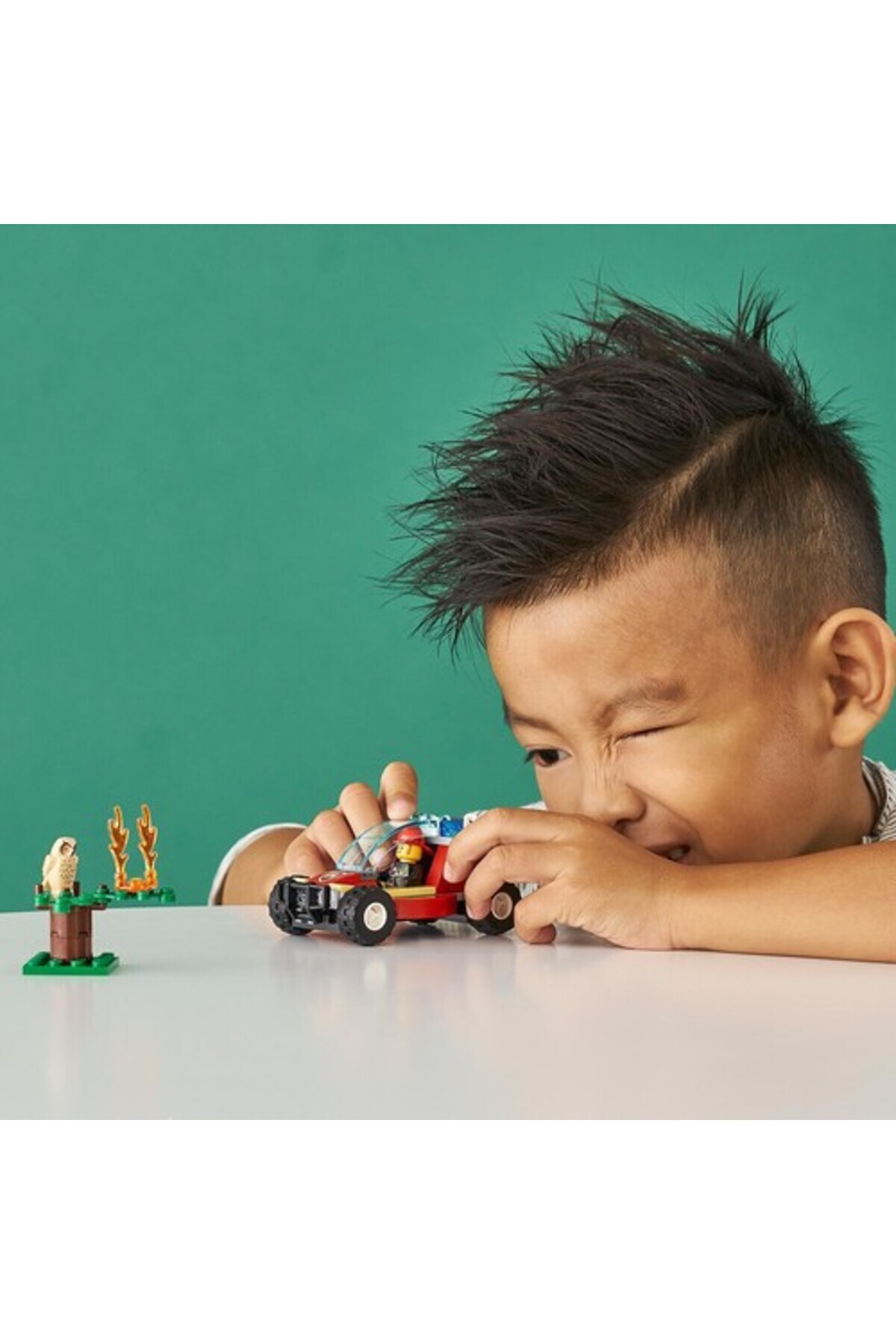 حریق جنگل شهری ۶۰۲۴۷