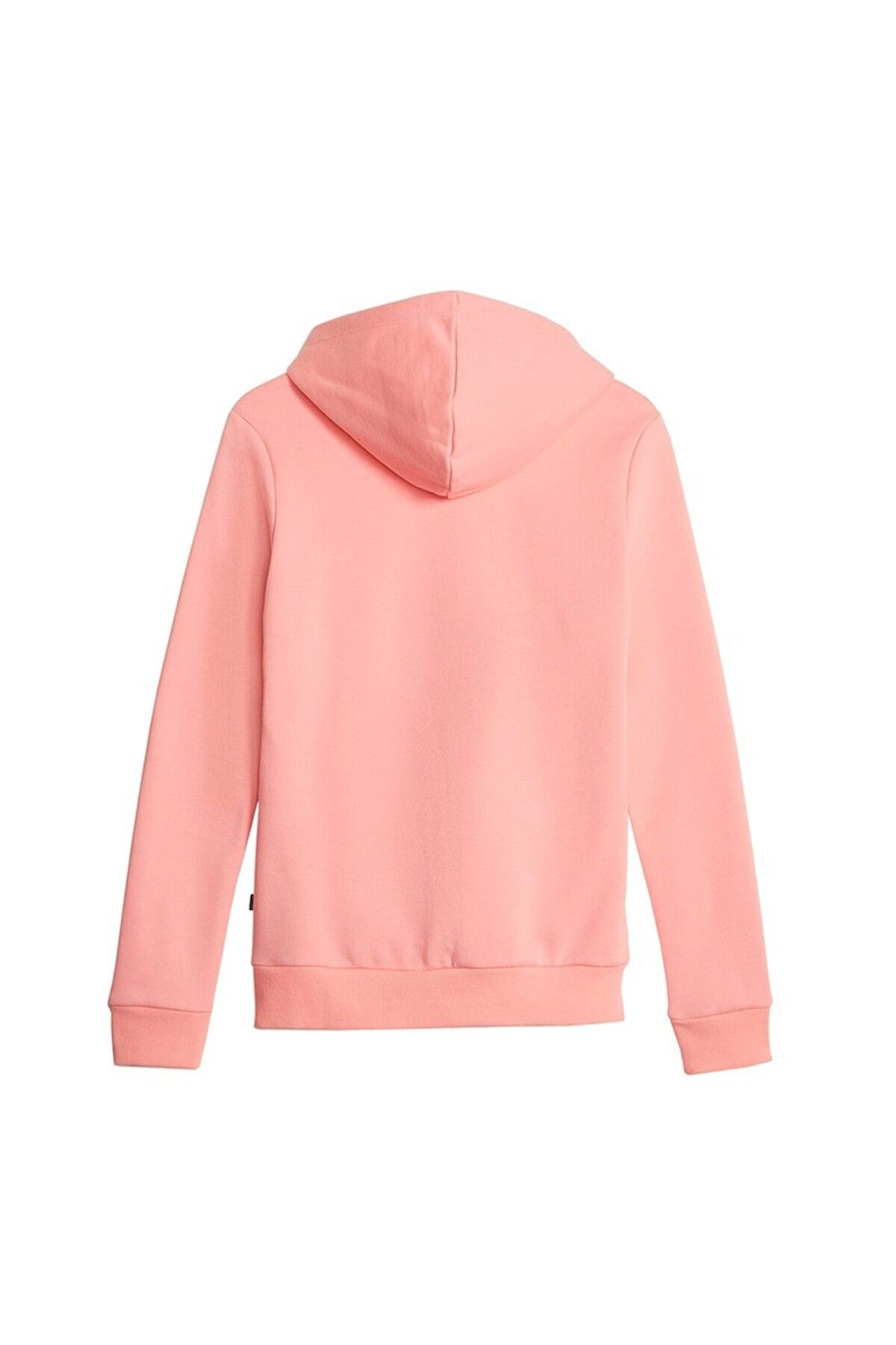 Puma-Essentials Plus Fl W Hoodie 2