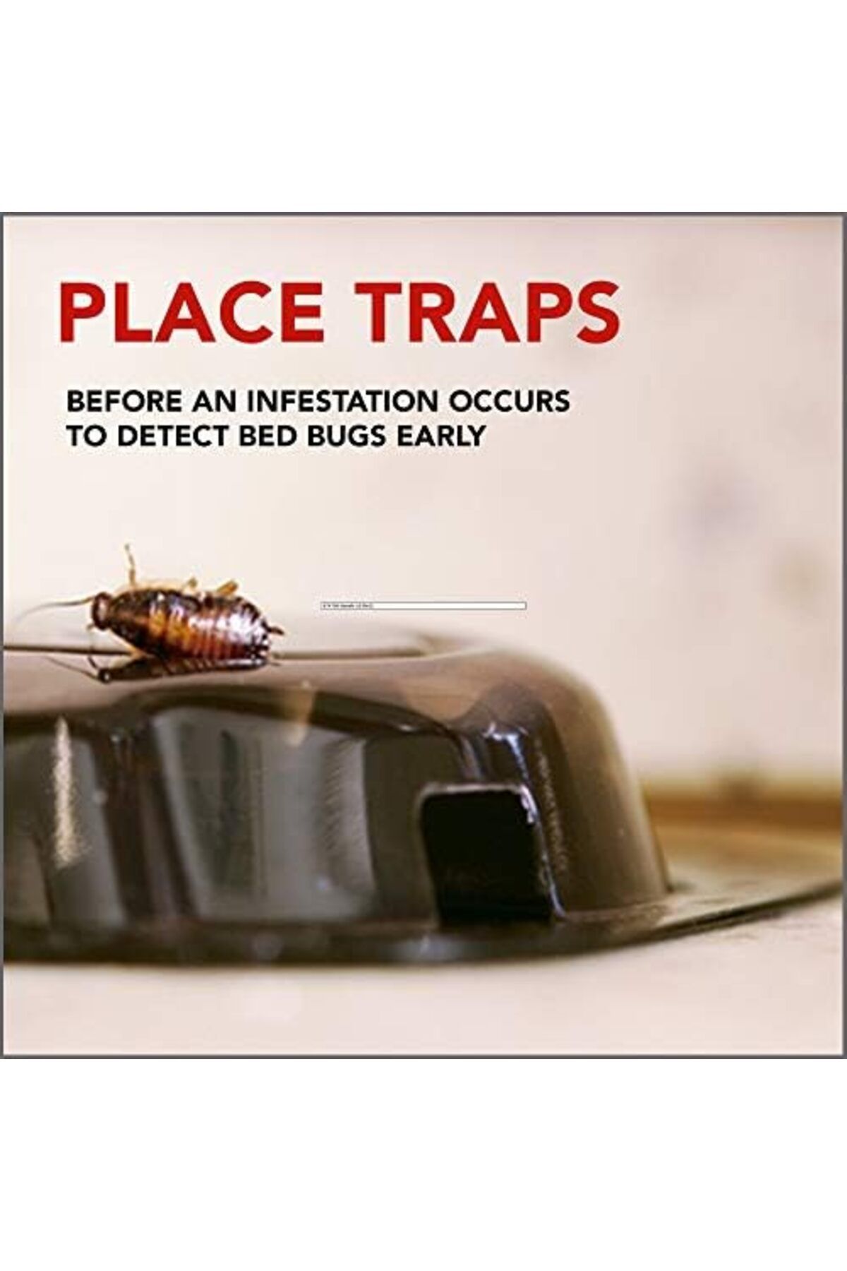 Raid-Bed Bug Detector and Trap, For Indoor Use, 4 Count 8