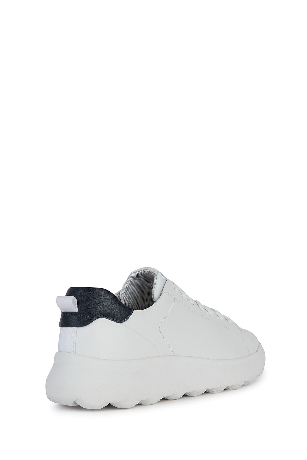 Geox-White Spherica EC4.1 - Lace-Up Leather Sports Sneaker U45FUA00043C1000 2