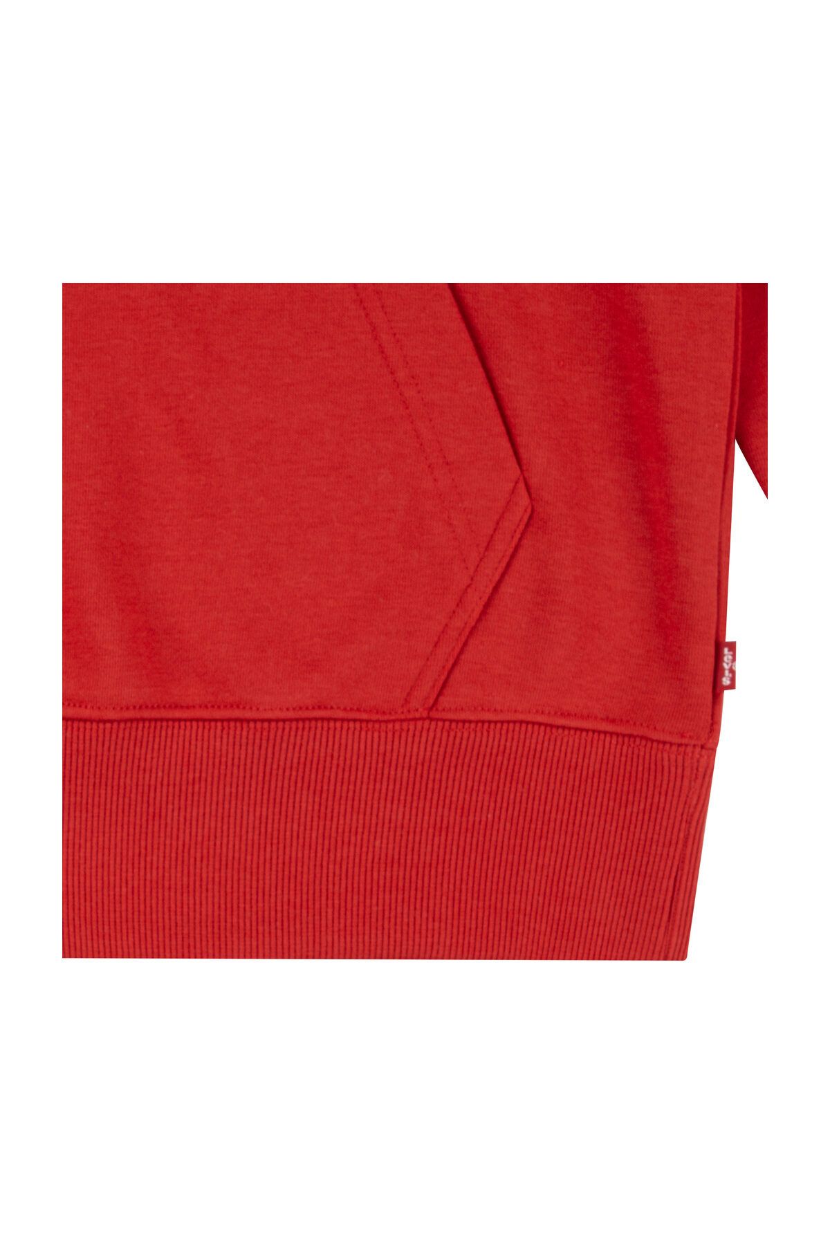 Levi's-LVB MINI BATWING PULL OVER HOO 3