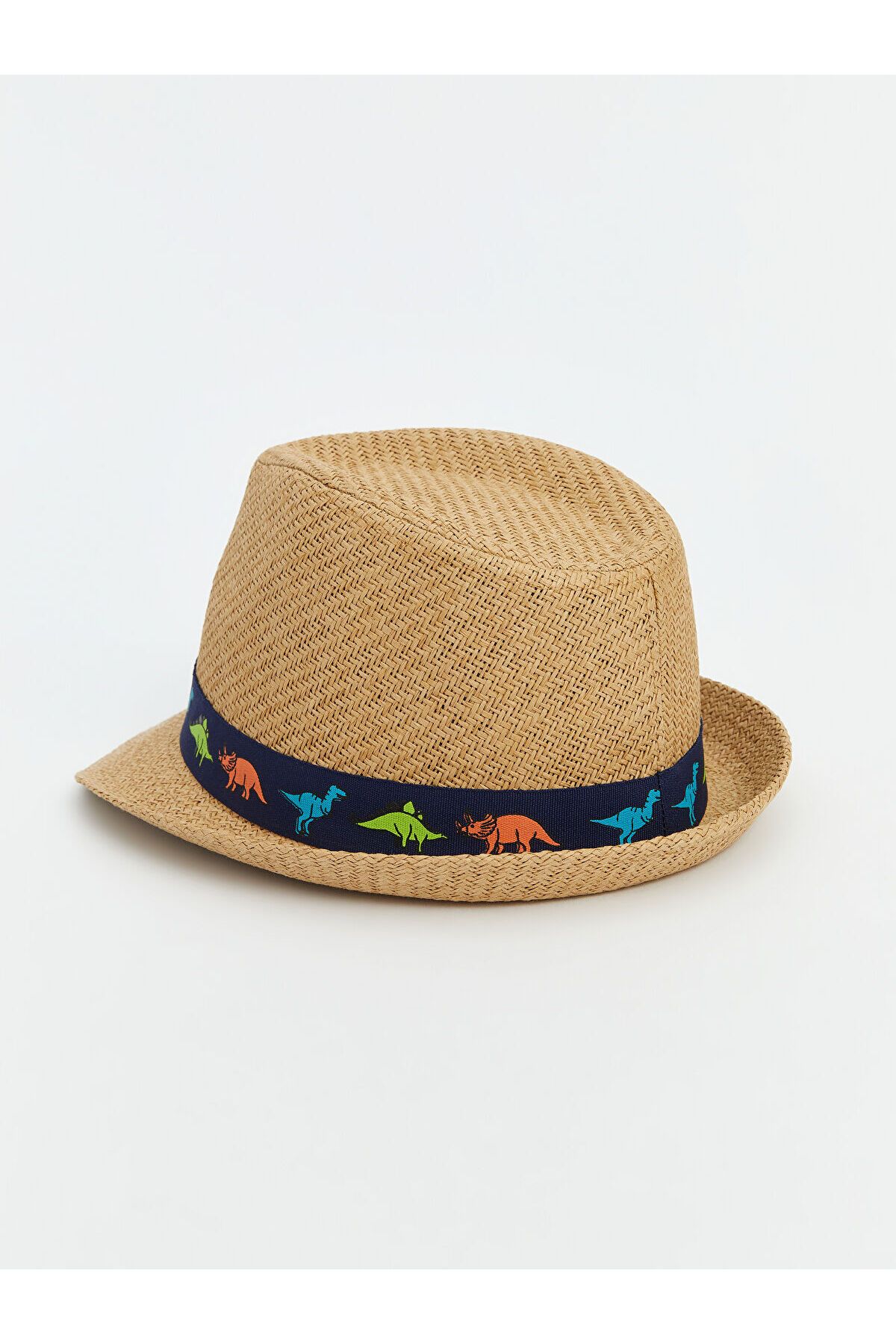 LC Waikiki-Dinosaur Printed Boy's Straw Fedora Hat 3