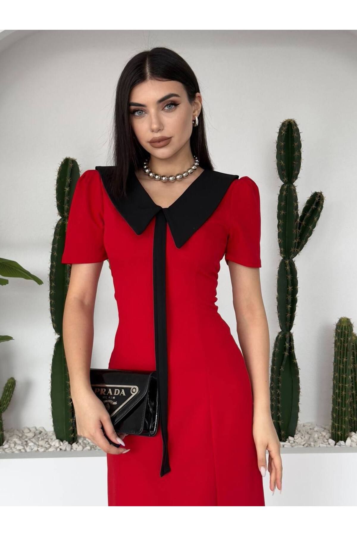 ETİKAFASHION-Short Sleeve Dress with Shirt Collar and Ribbon Detail 2
