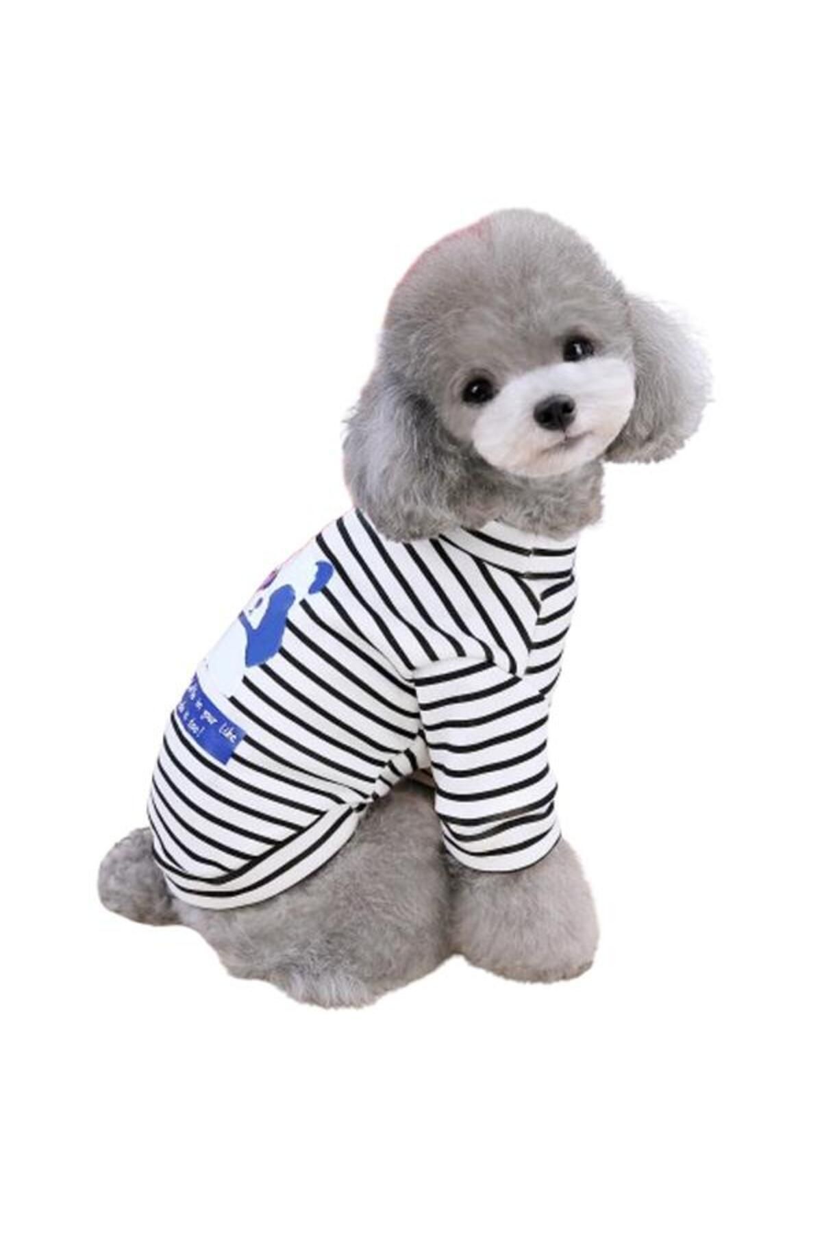 Glipet-Panda Striped Dog Sweater White S Shuttle 3