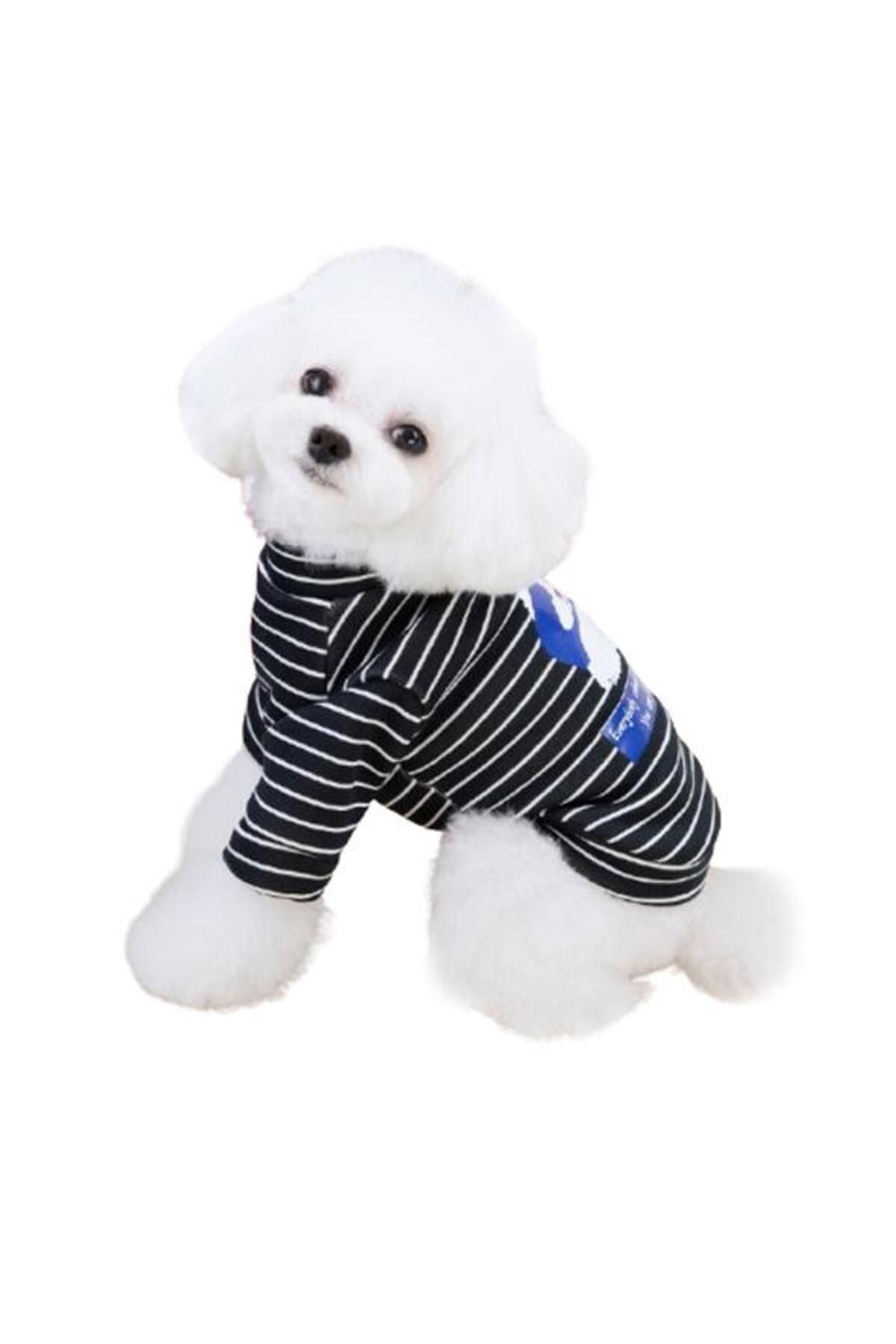 Glipet-Panda Striped Dog Sweater White S Shuttle 4