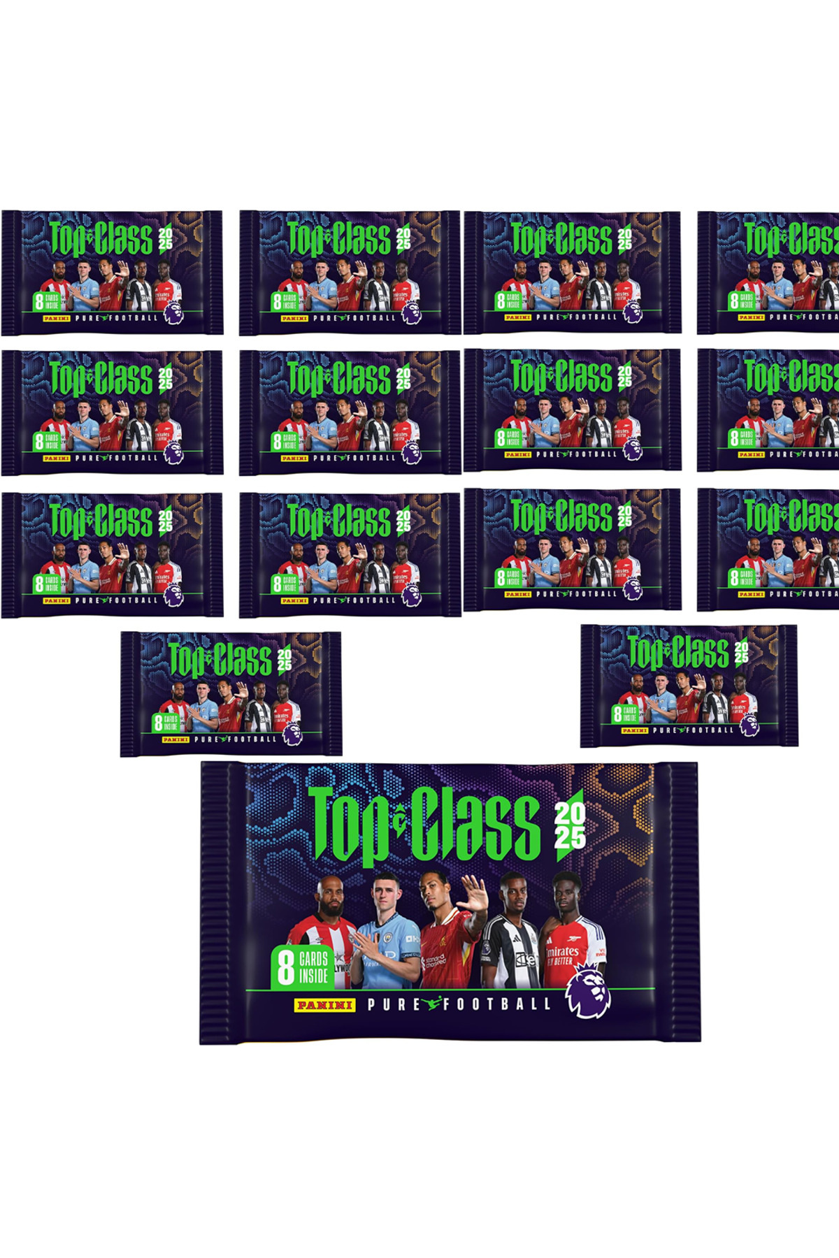 panini-premier-league-top-class-trading-cards-2025-15-paket-120-kart