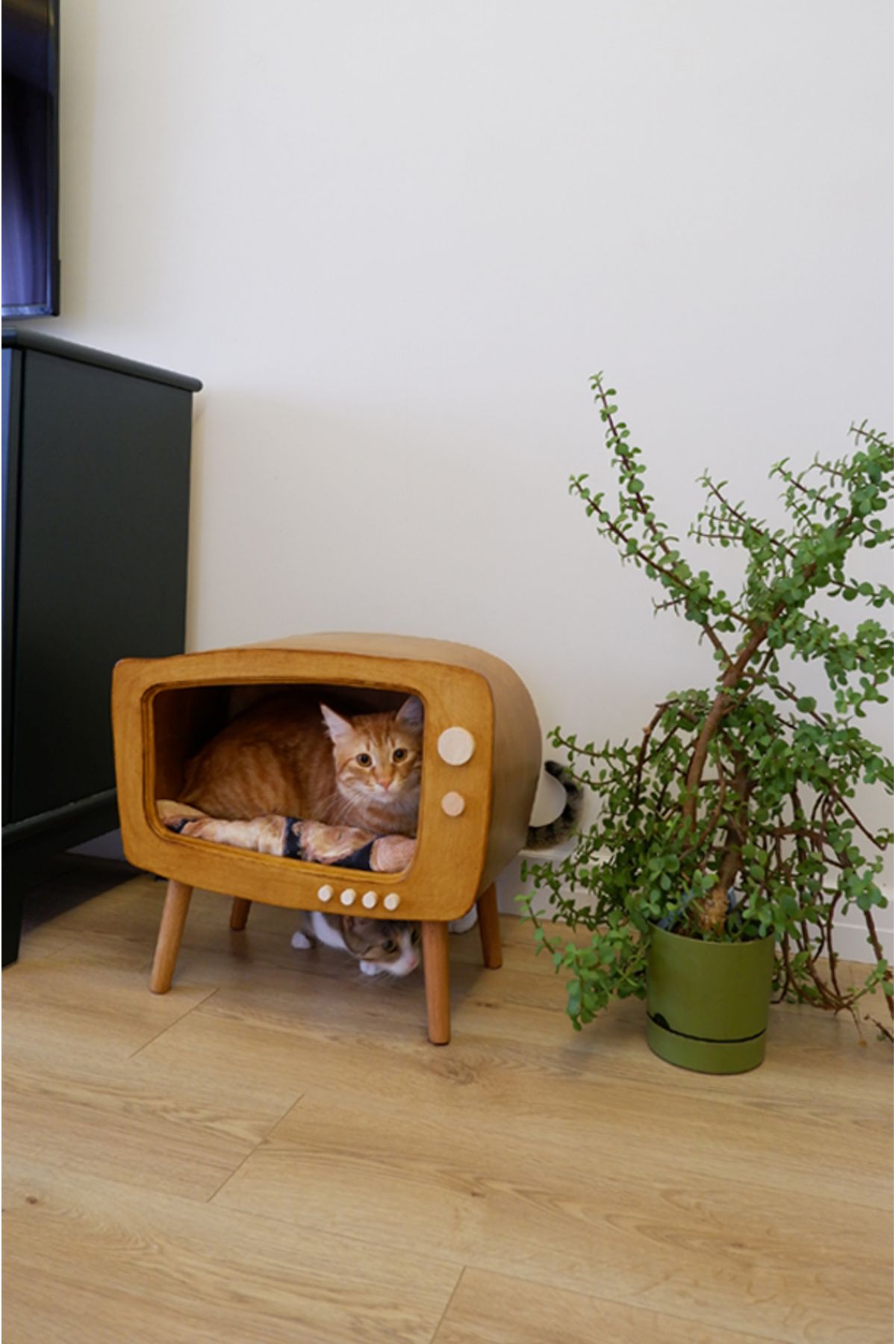 Kedi Evi Ahşap Retro TV Dekoratif Kedi Evi İç Mekan Kediler için