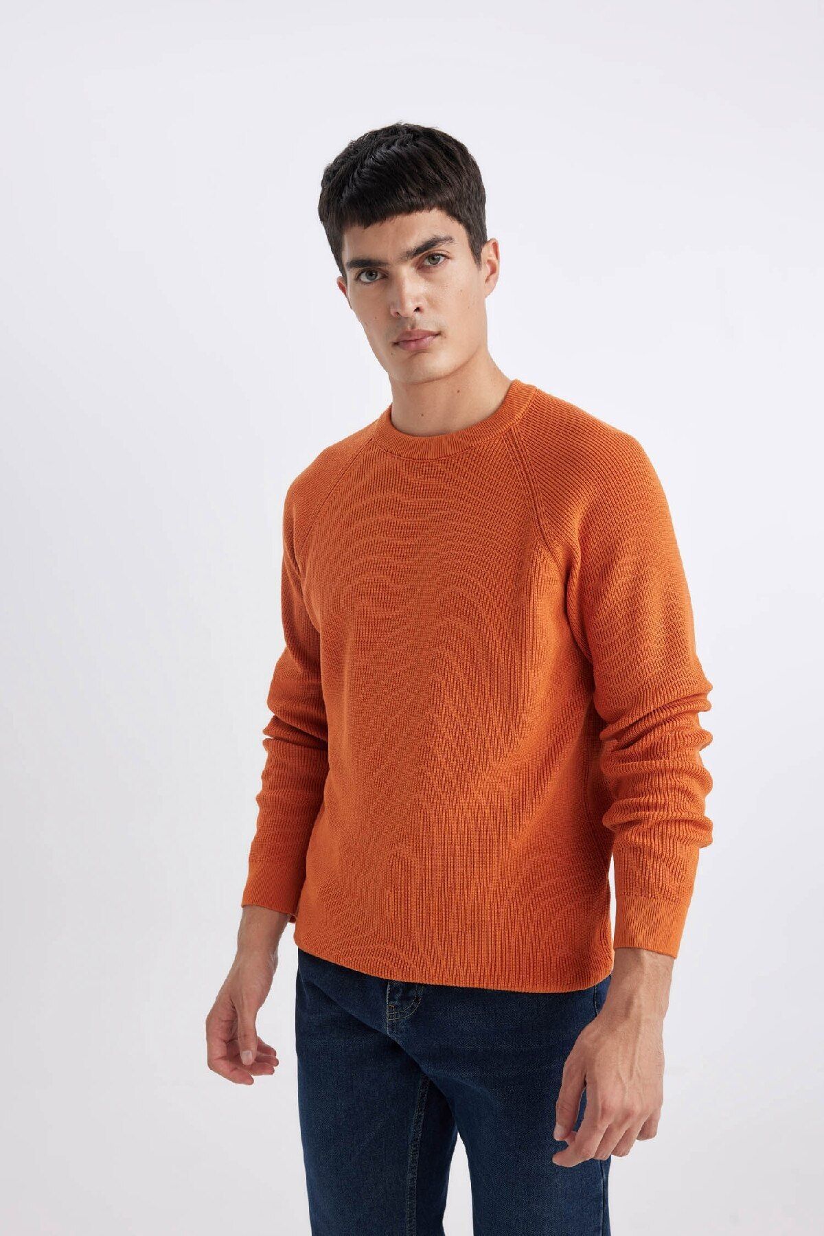 DeFacto-Standard-Passform, normaler Schnitt, Rundhalsausschnitt, Basic, einfarbig, Strickpullover A8458ax24sp 3