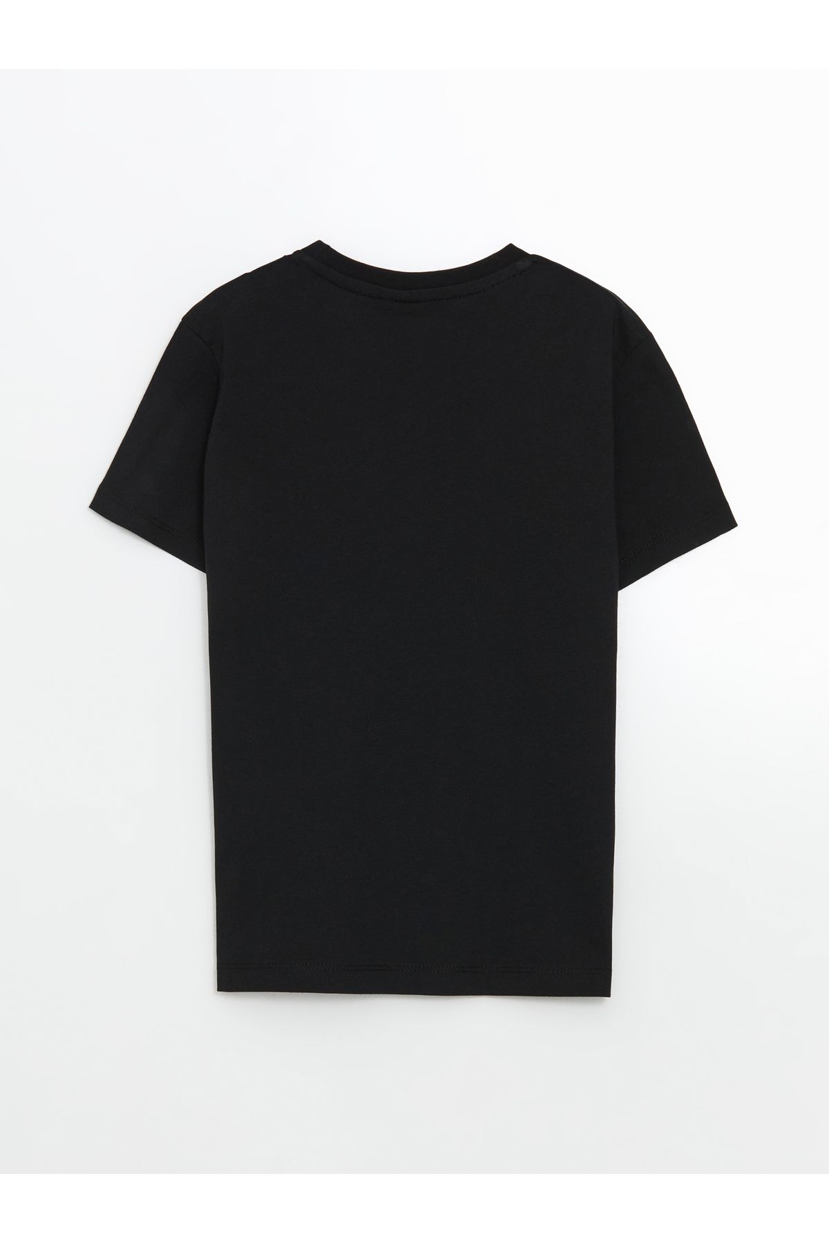 LC Waikiki-Crew Neck Boy's T-Shirt 2