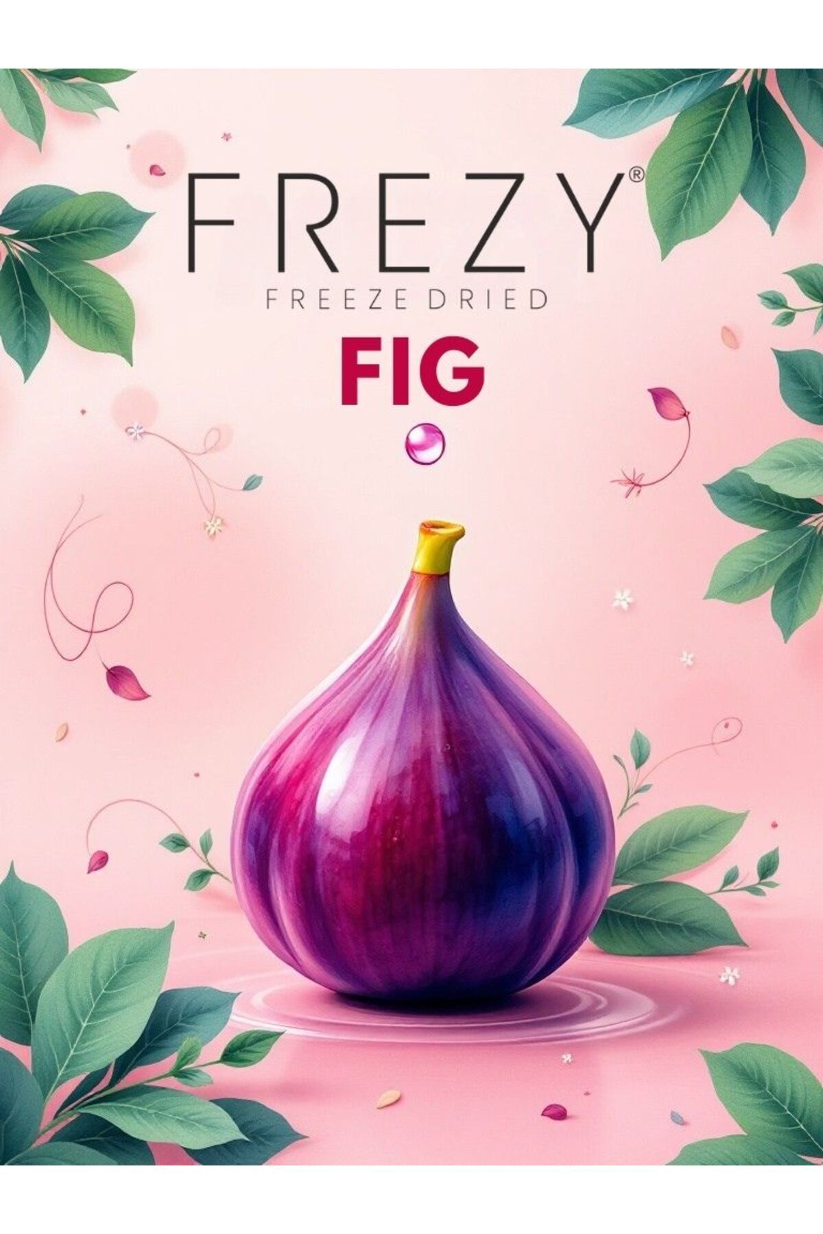 Frezy Freeze Dry (DONDURULARAK KURUTULMUŞ) Yeşil Incir - Kuru Incir (20 G)