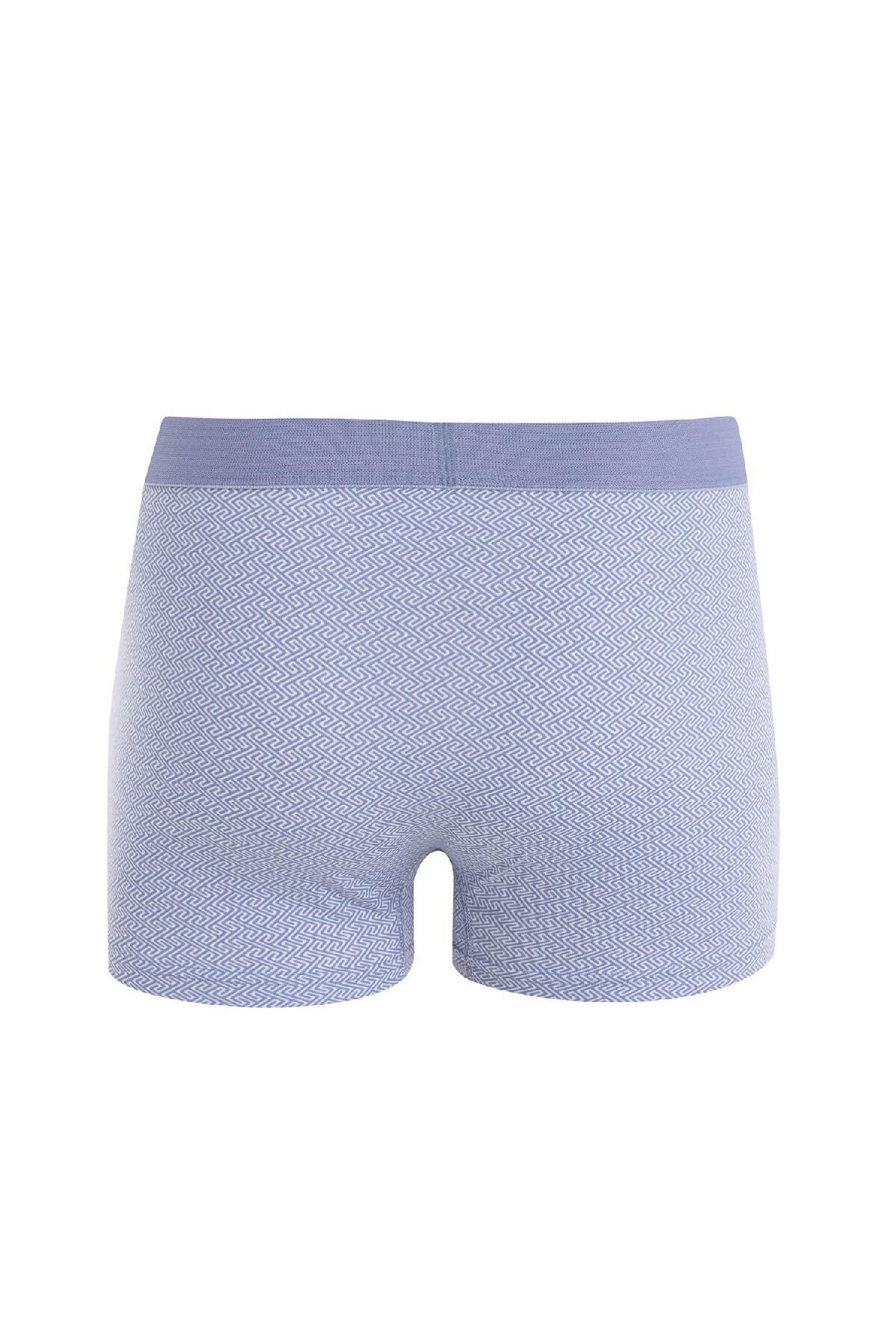DeFacto-Regular Fit 3 Pack Boxer D2316ax24au 3