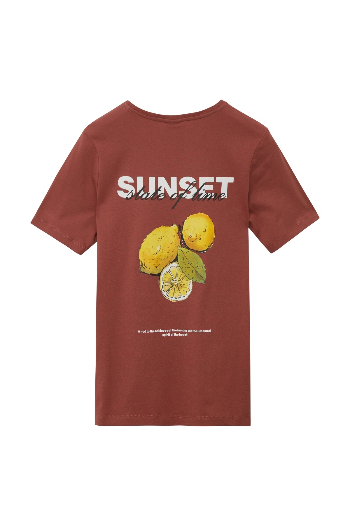 s.Oliver-T-Shirt Boy 1