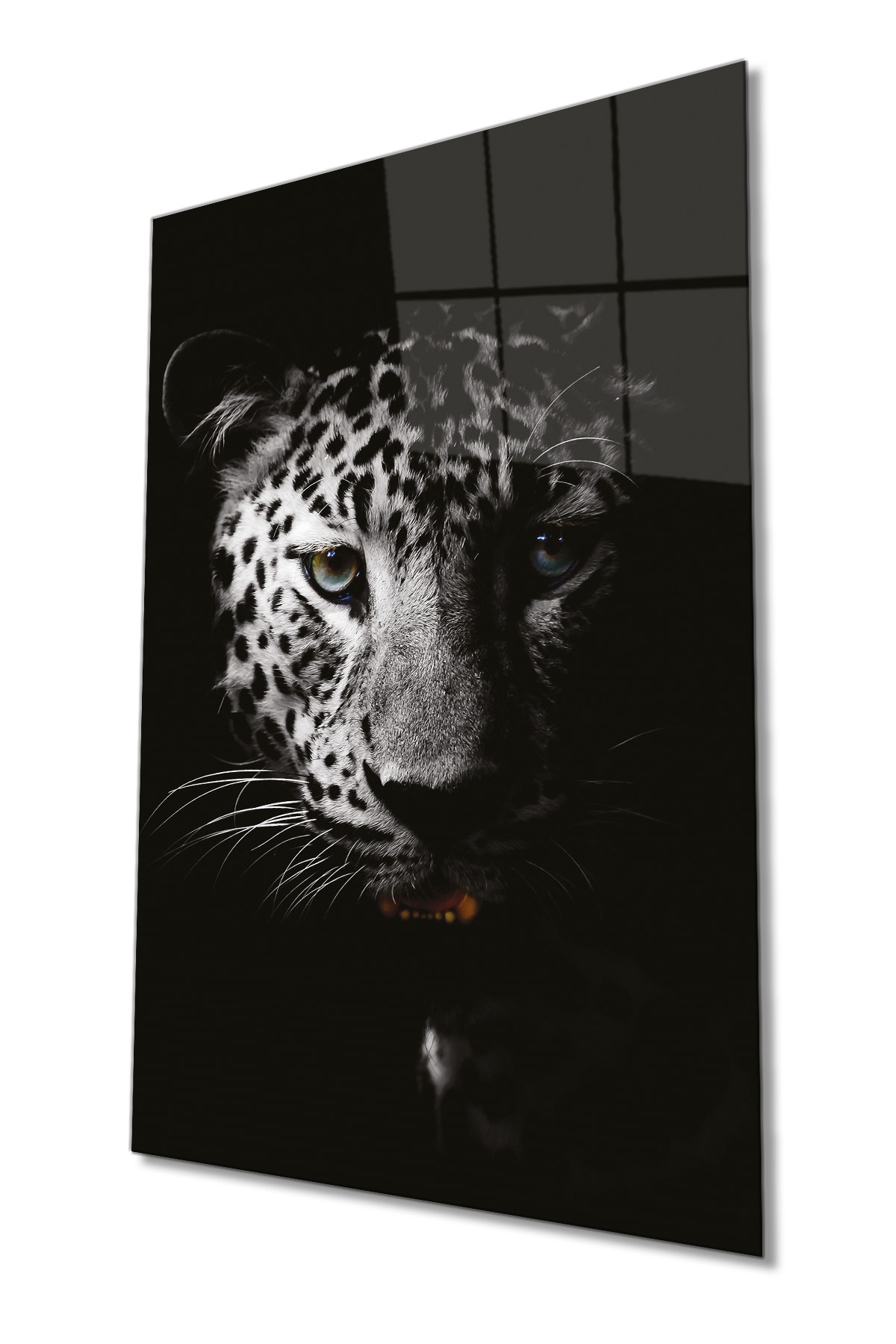 Leopar Cam Tablo