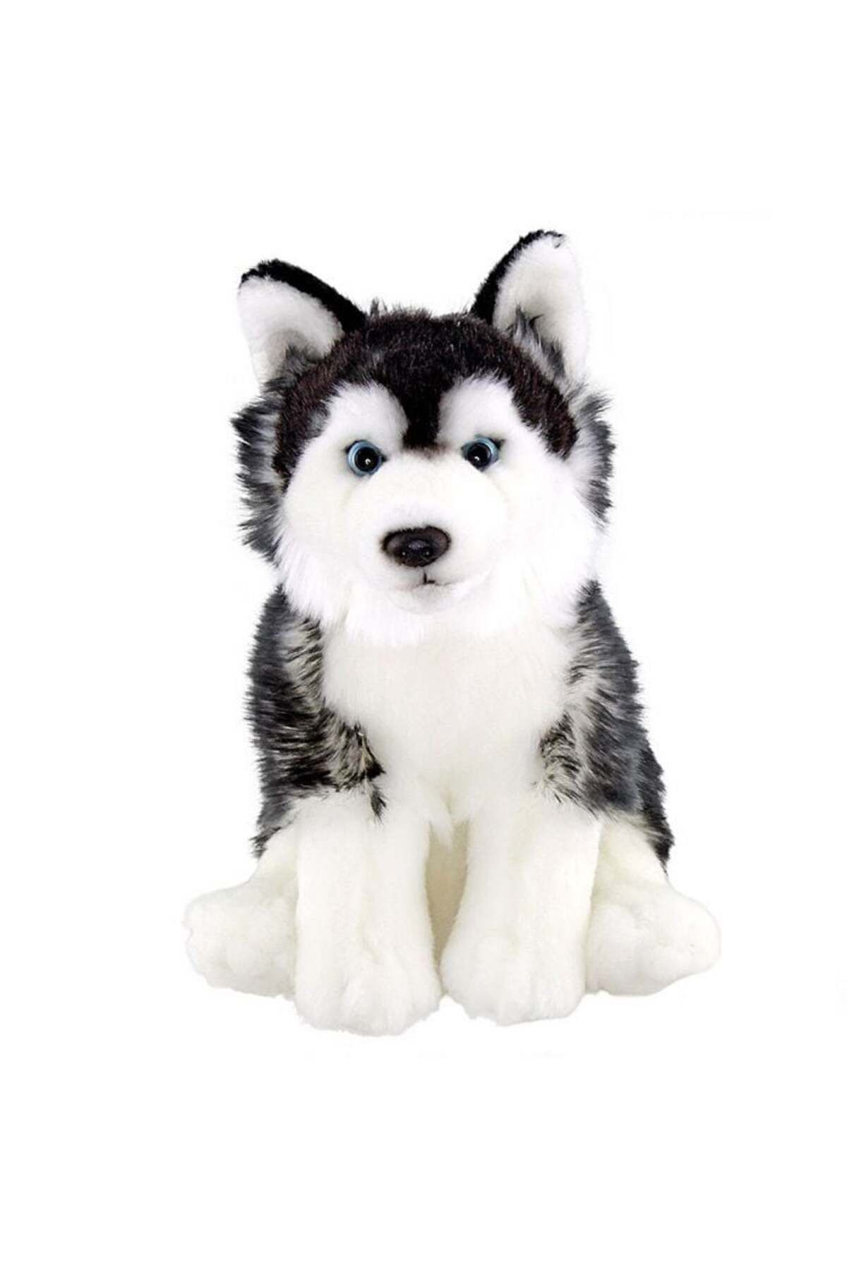 TimeStart 28Cm Floppy Siyah Husky