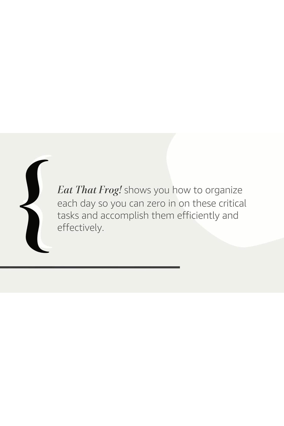 Kollektif-Eat That Frog! : 21 Great Ways to Stop Procrastinating and Get More Done in Less Time 2