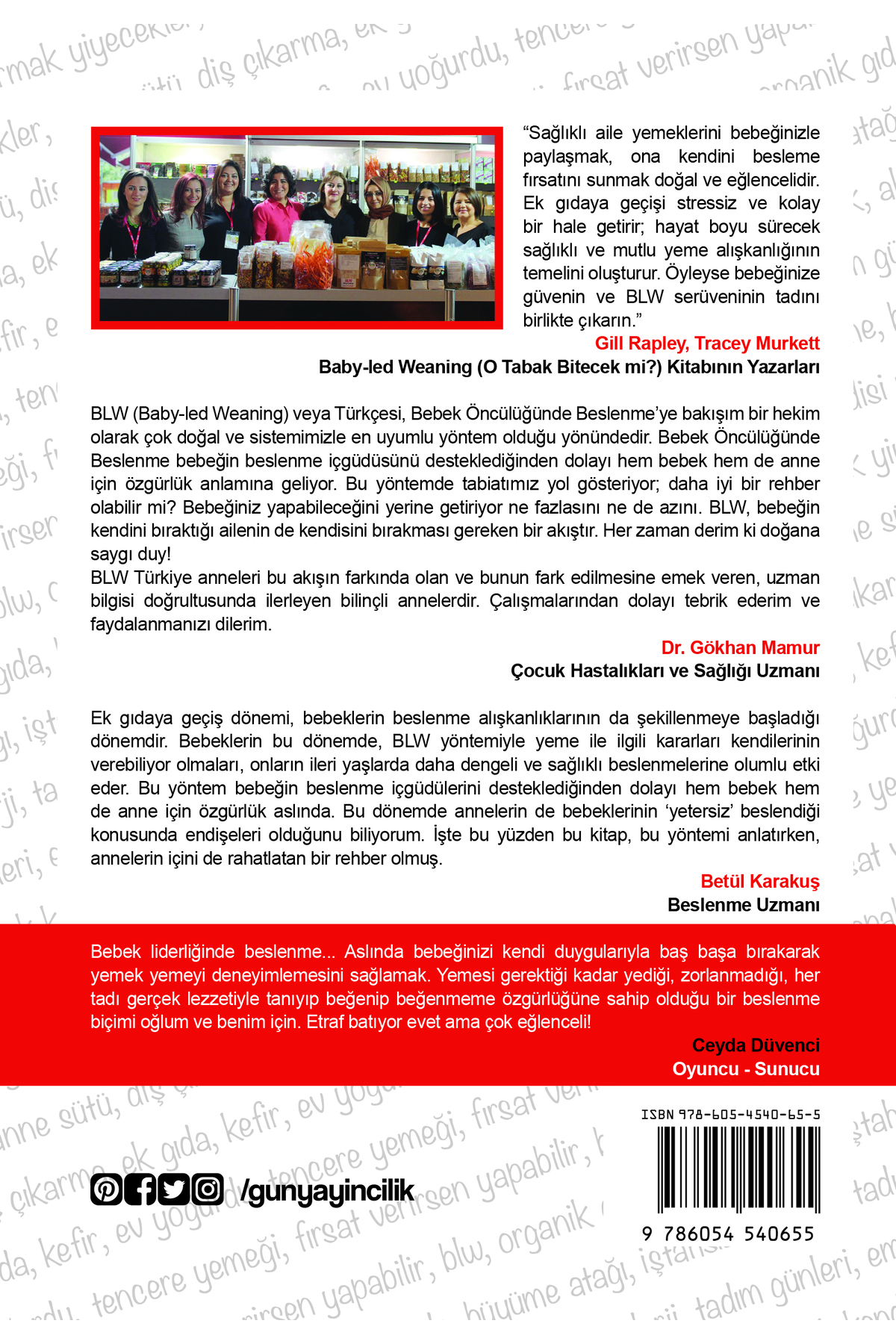 Gün Yayıncılık Blw Bebek Liderliğinde Beslenme fotoğrafı 2 (önizleme)