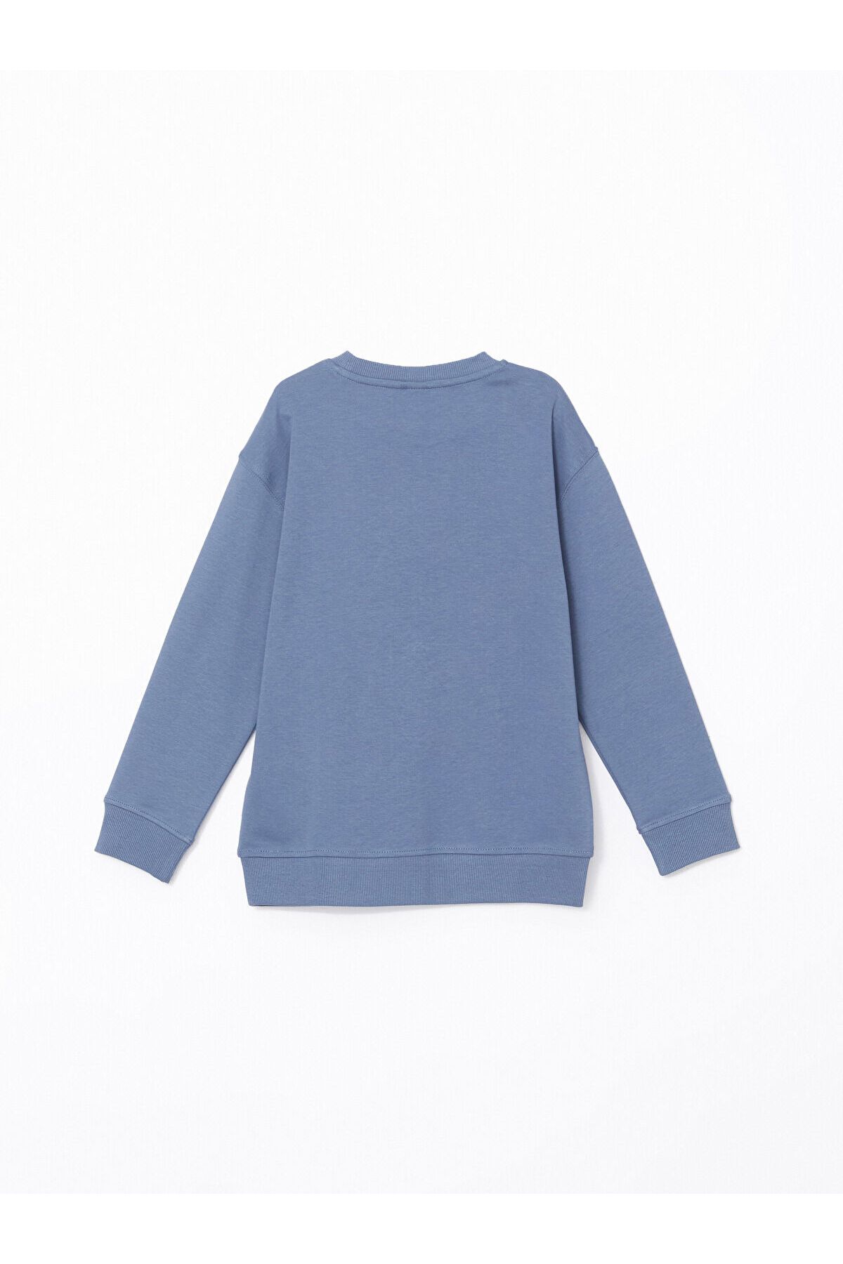 LC Waikiki-Crew Neck Boy's T-Shirt 3