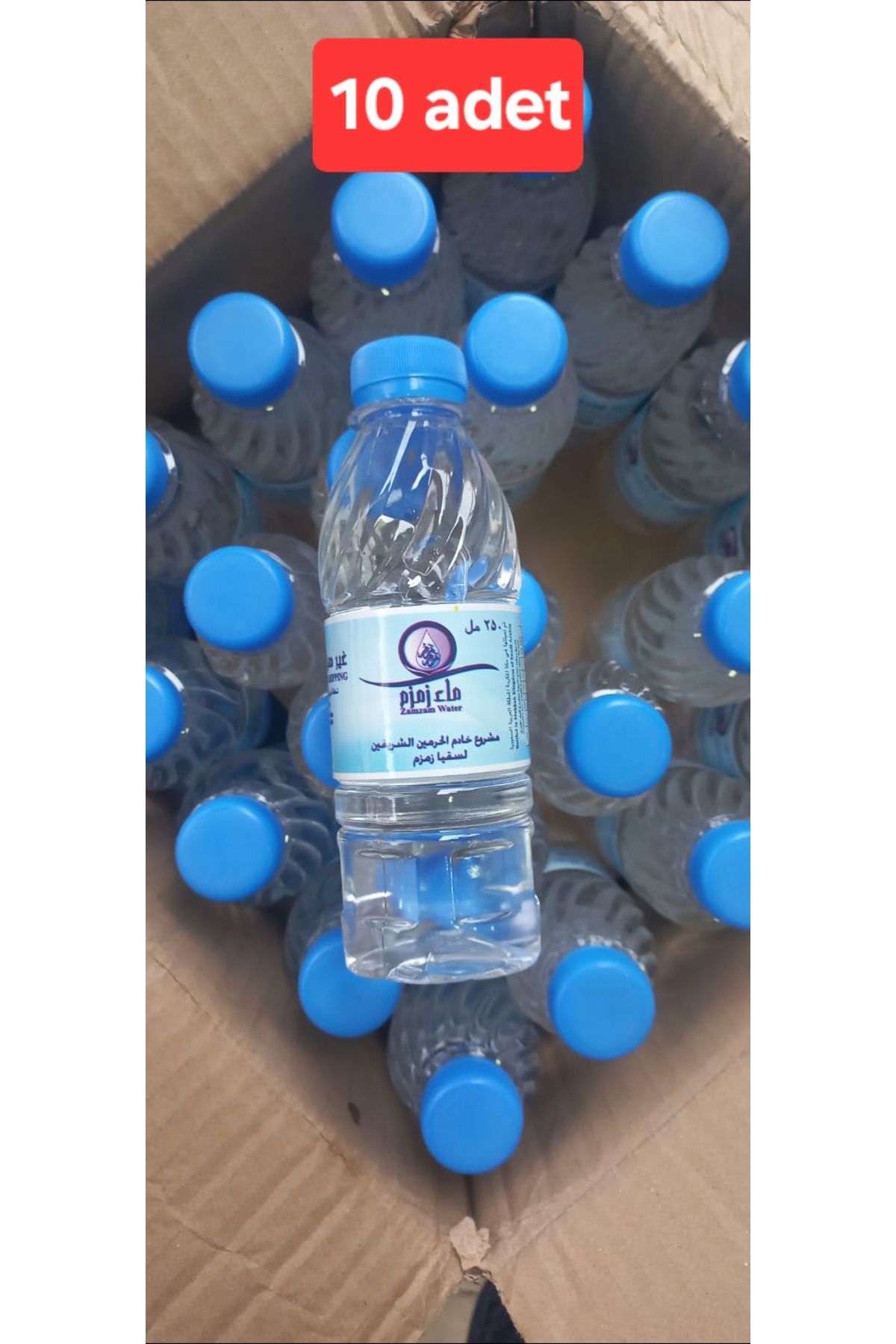 ZEMZEM Orgınal Suyu 250ml × 10 Adet