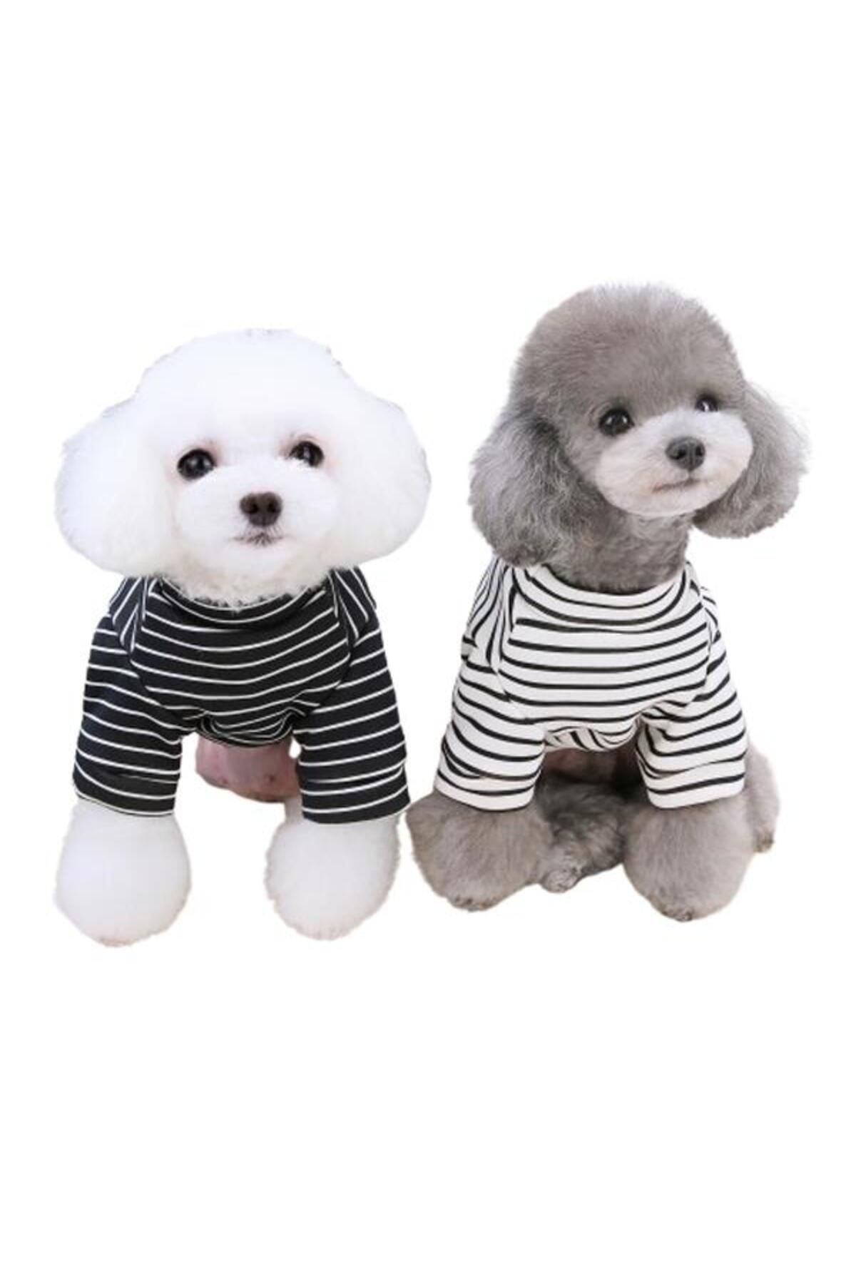 Glipet-Panda Striped Dog Sweater White S Shuttle 1