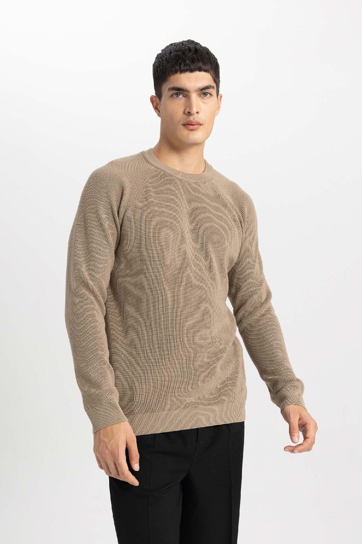 DeFacto-Standard-Passform, normaler Schnitt, Rundhalsausschnitt, Basic, einfarbig, Strickpullover A8458ax24sp 4