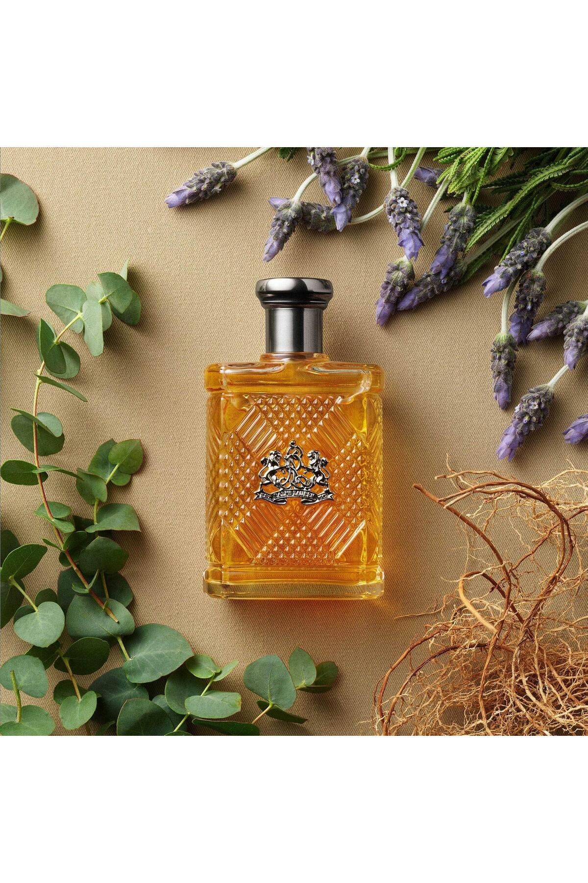 Ralph Lauren-Ralph Lauren Safari for Men Eau de Toilette 125ml 6