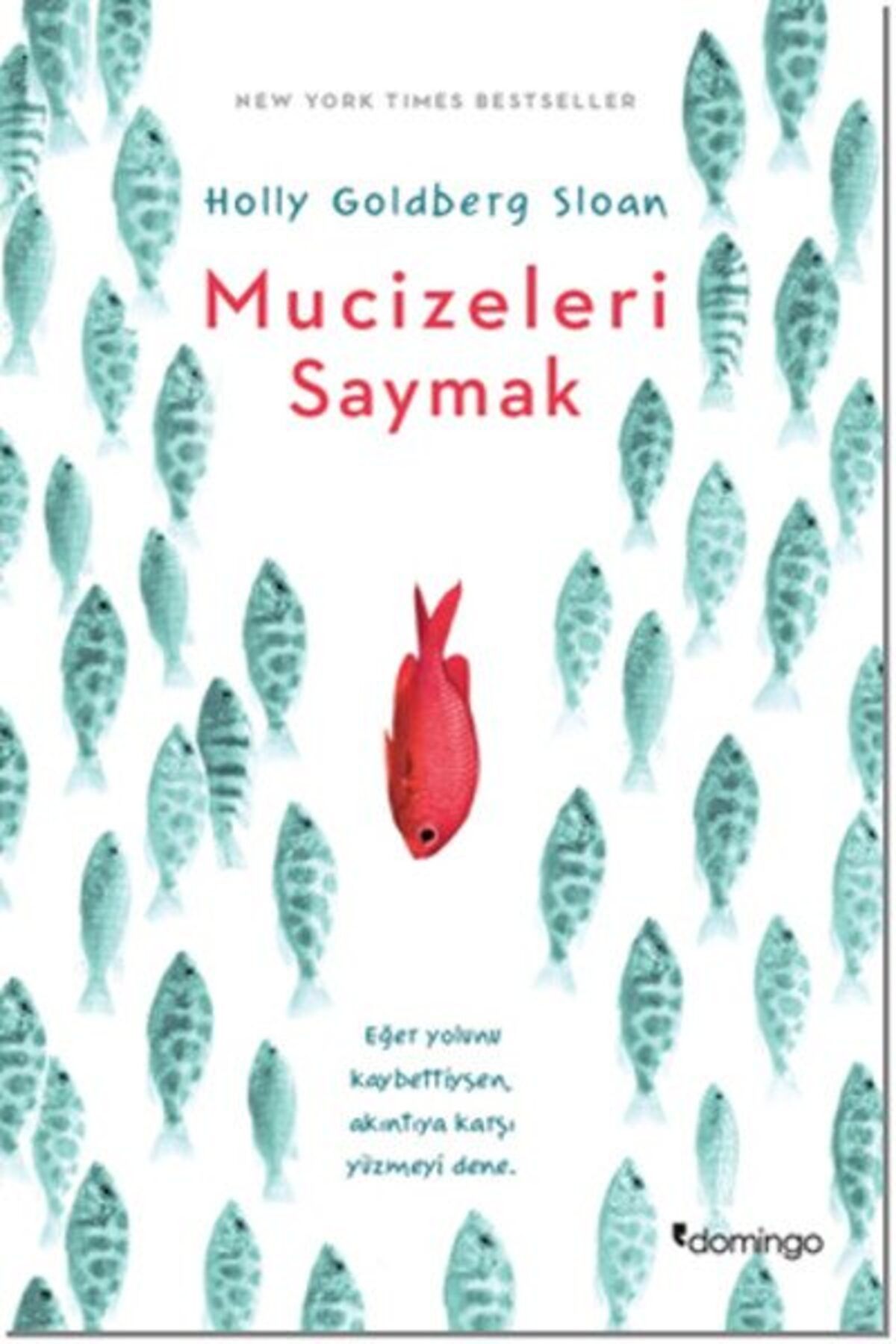 Karatay Yayınları Mucizeleri Saymak