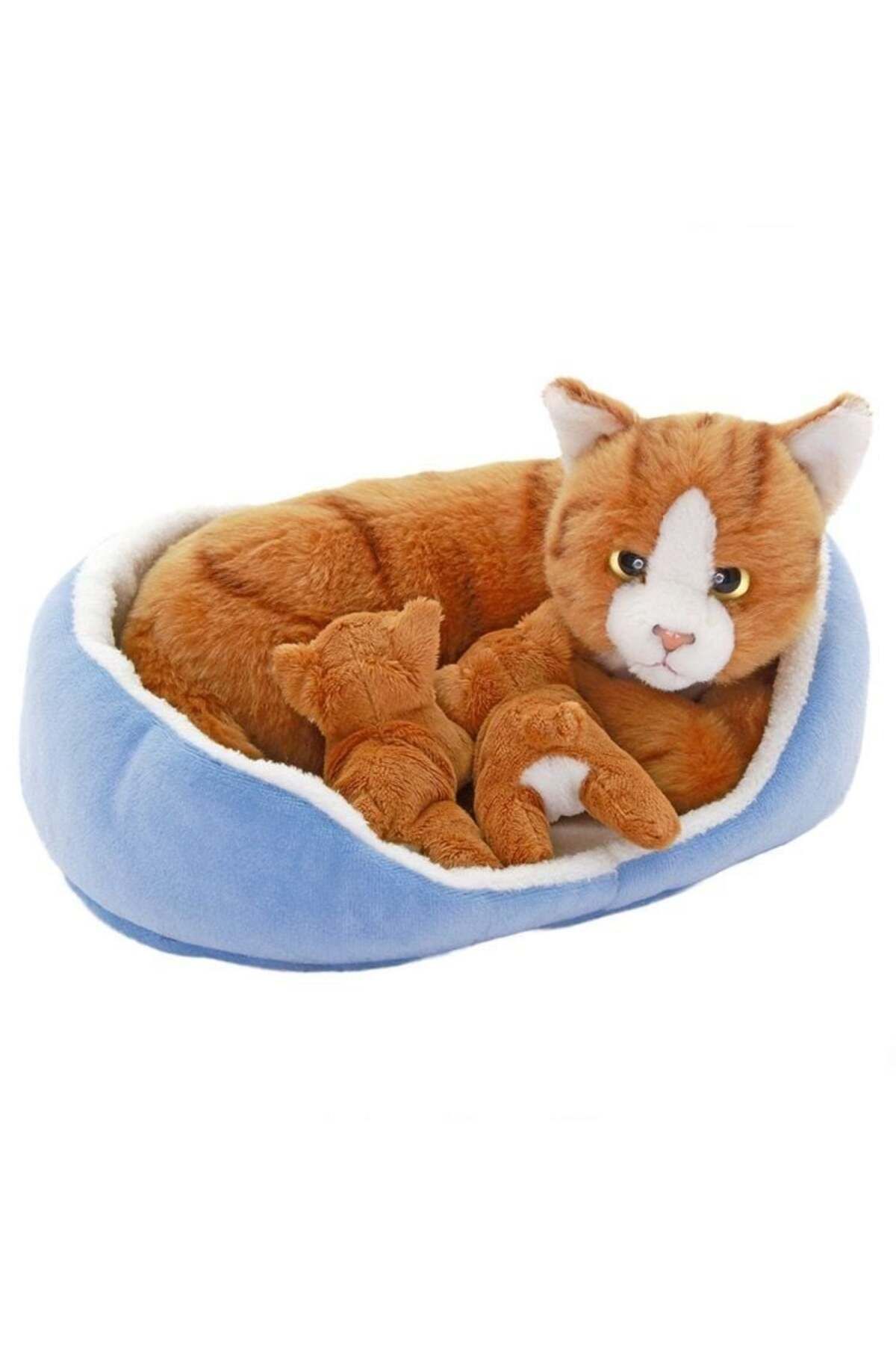 TimeStart Sepette Yavrulu Kedi