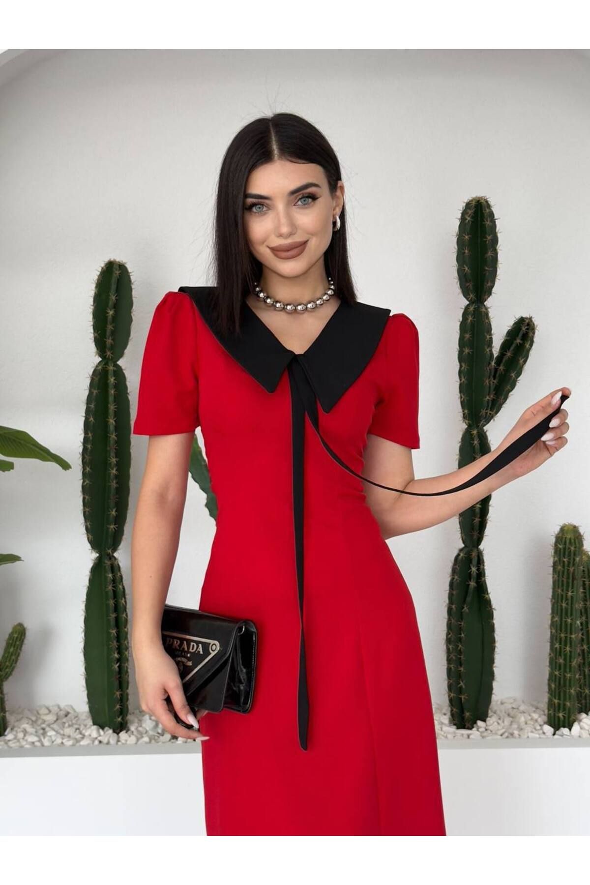 ETİKAFASHION-Short Sleeve Dress with Shirt Collar and Ribbon Detail 3