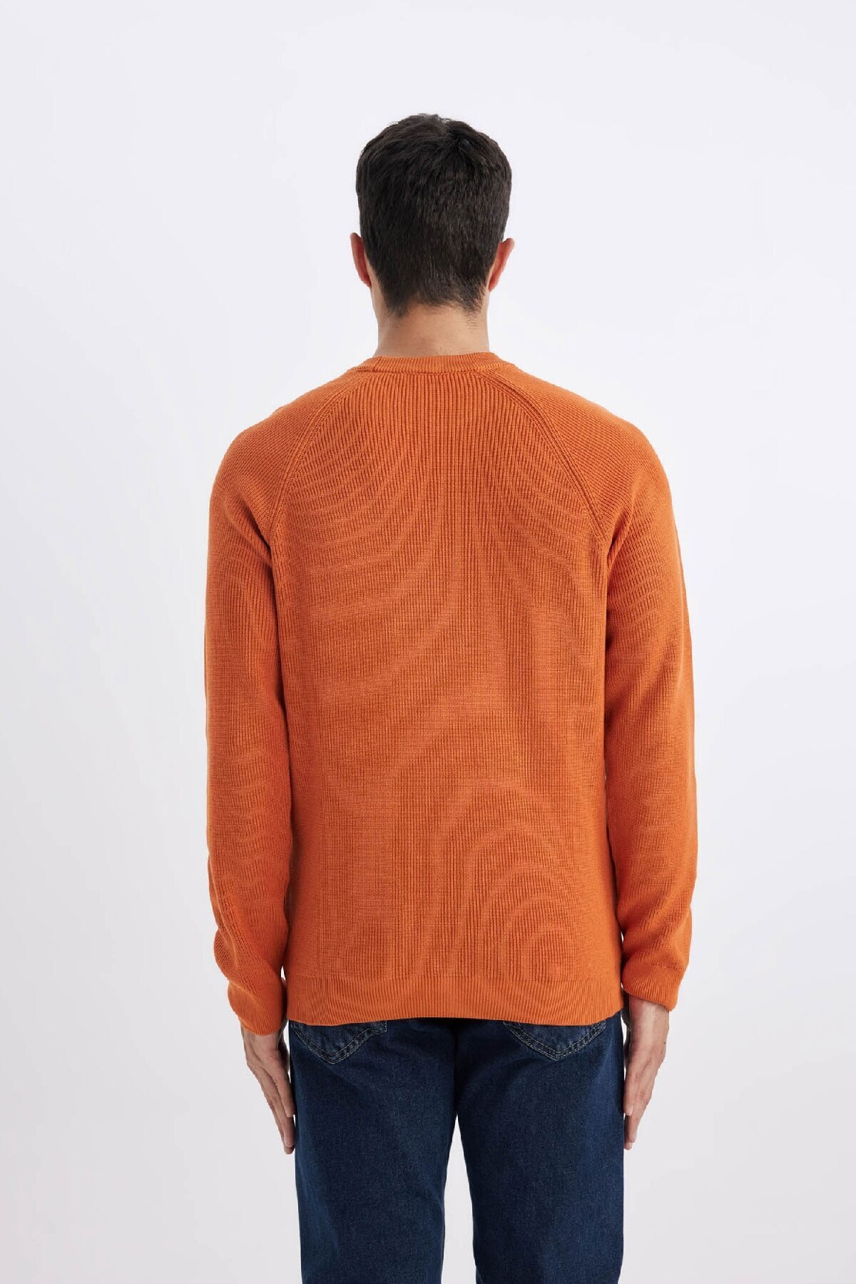 DeFacto-Standard-Passform, normaler Schnitt, Rundhalsausschnitt, Basic, einfarbig, Strickpullover A8458ax24sp 4
