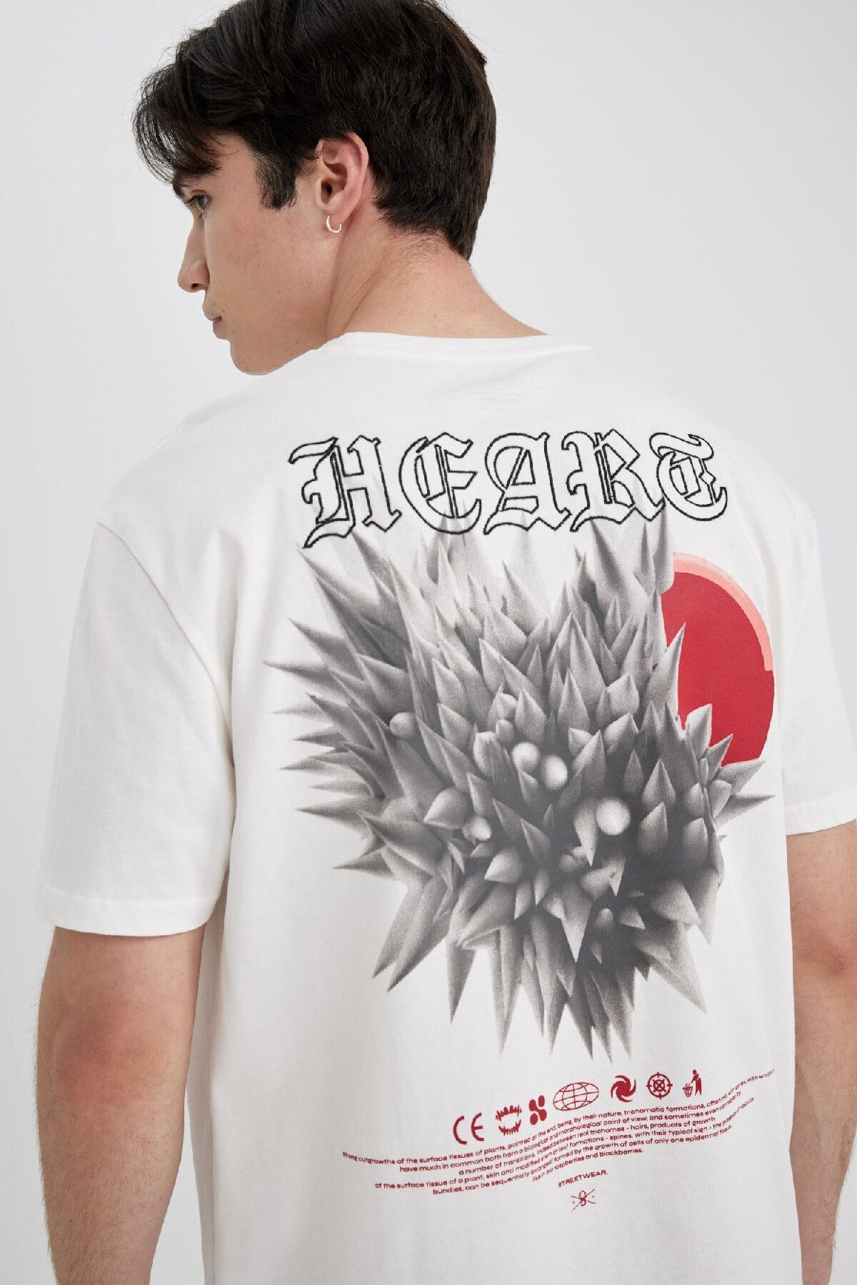 DeFacto-Regular Fit Crew Neck Back Nyomtatott rövid ujjú póló C3466ax24sp 4