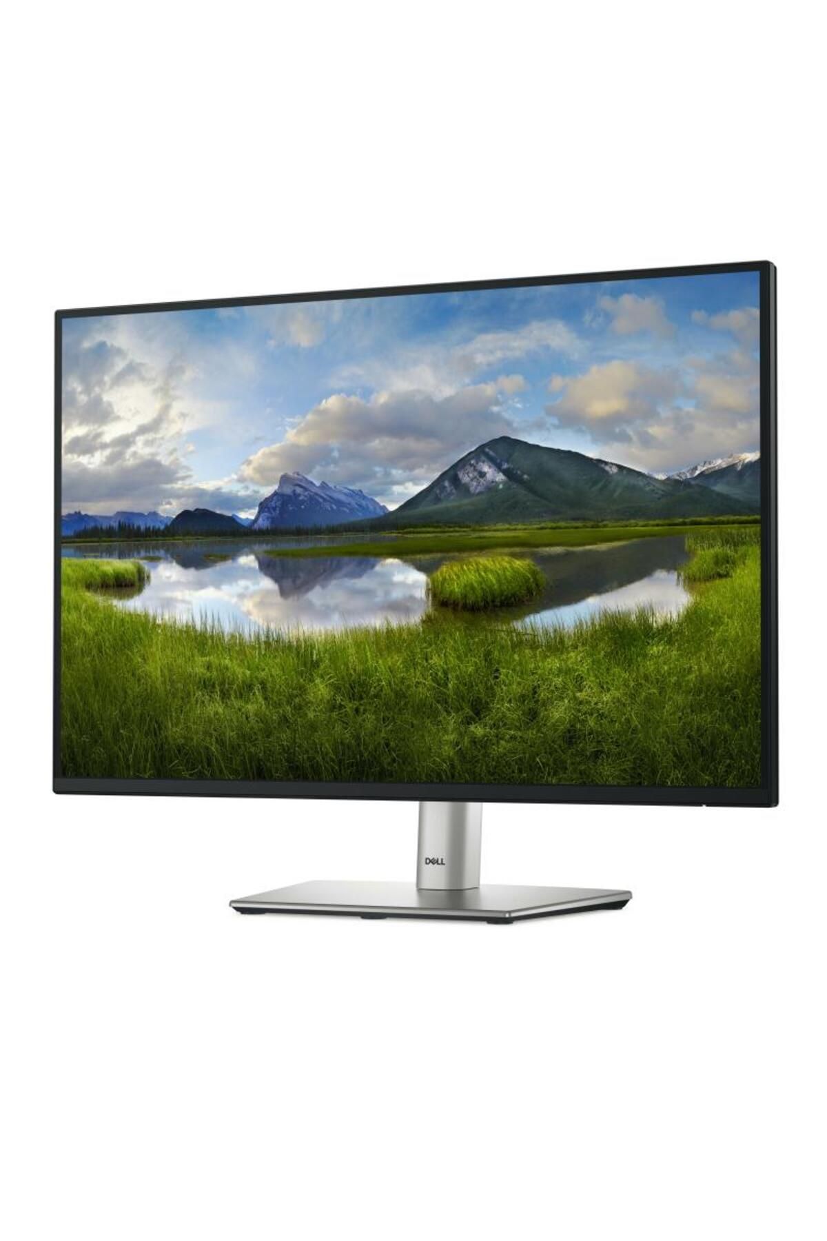 Dell-Monitor IPS LED Dell P2425 24.07" 1920x1200, 16:10, 5ms GTG, 100Hz, HDMI DP VGA, pivot, Argintiu 4